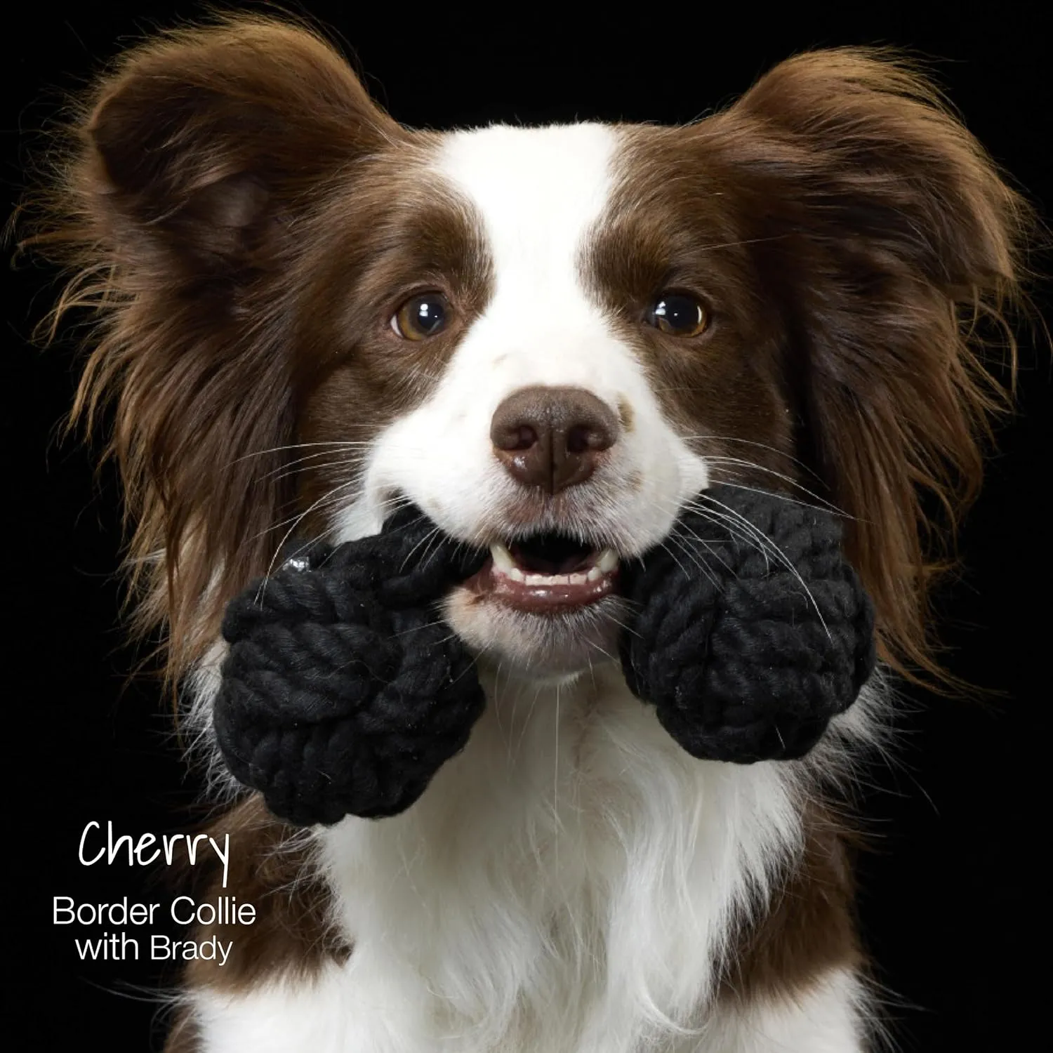 3-Pack Organic Cotton Dog Rope Pull Toys for All Pet Breeds, Desert Ombre, One Size