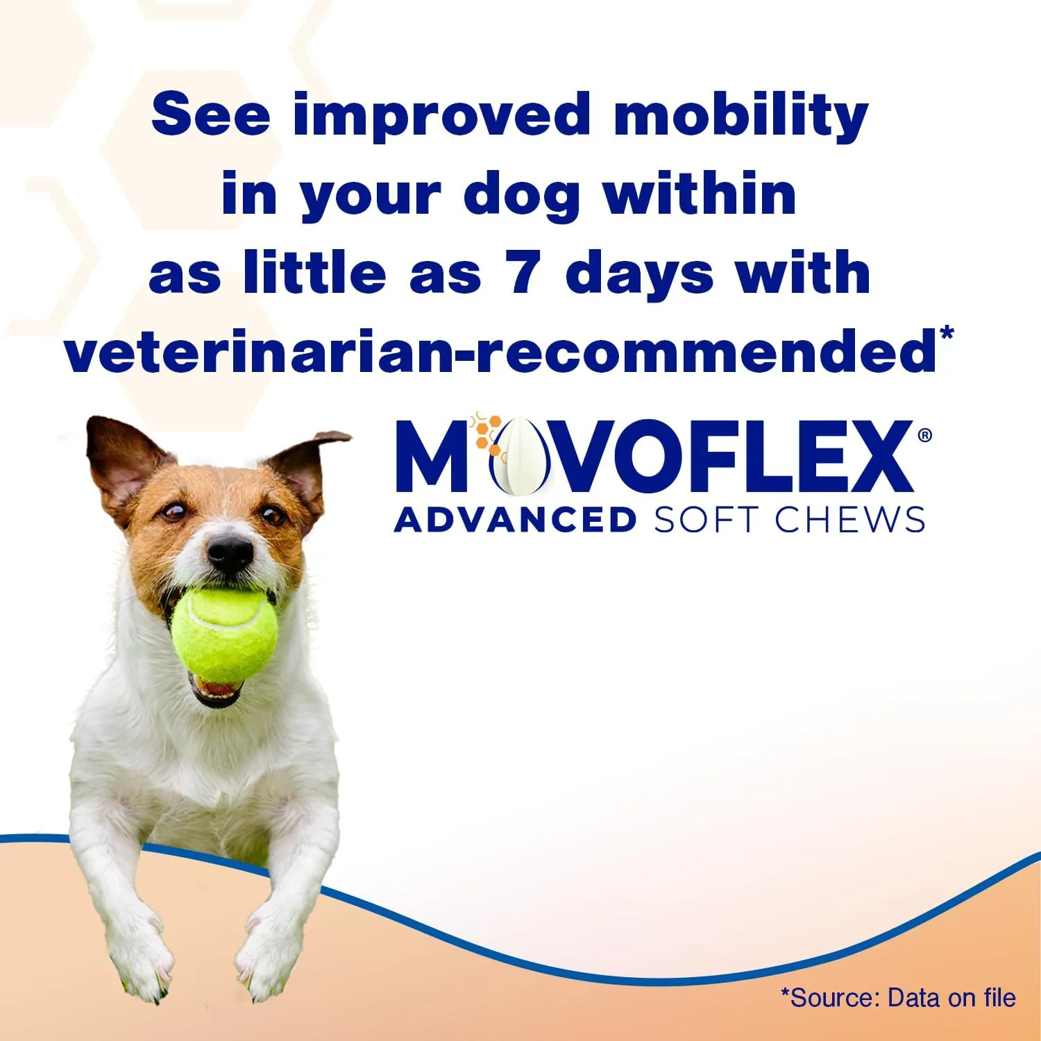 Advanced Soft Chews Hip and Joint Support Supplement for Large Dogs 120 Count by Virbac
