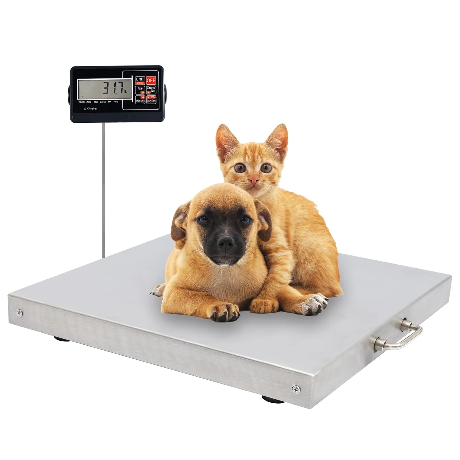 Animal Scale for Dog, 700x0.2lb Pet Scale with Stainless Steel Platform 18 x 18 in