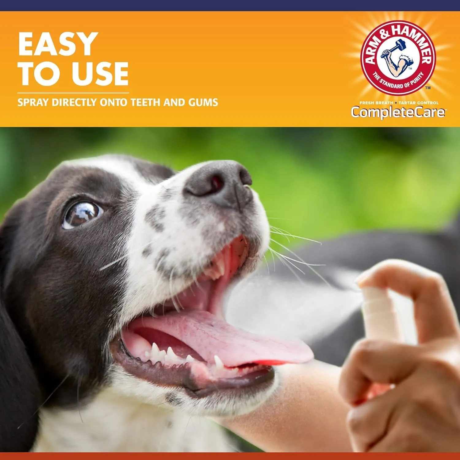 Arm & Hammer Complete Care Dog Dental Spray | Mint Flavor Dog Dental Spray for Easy Brushless Cleaning | Baking Soda Enhanced Formula for Fresh Breath and Tartar Control, 6 Fl Oz - 2 Pack