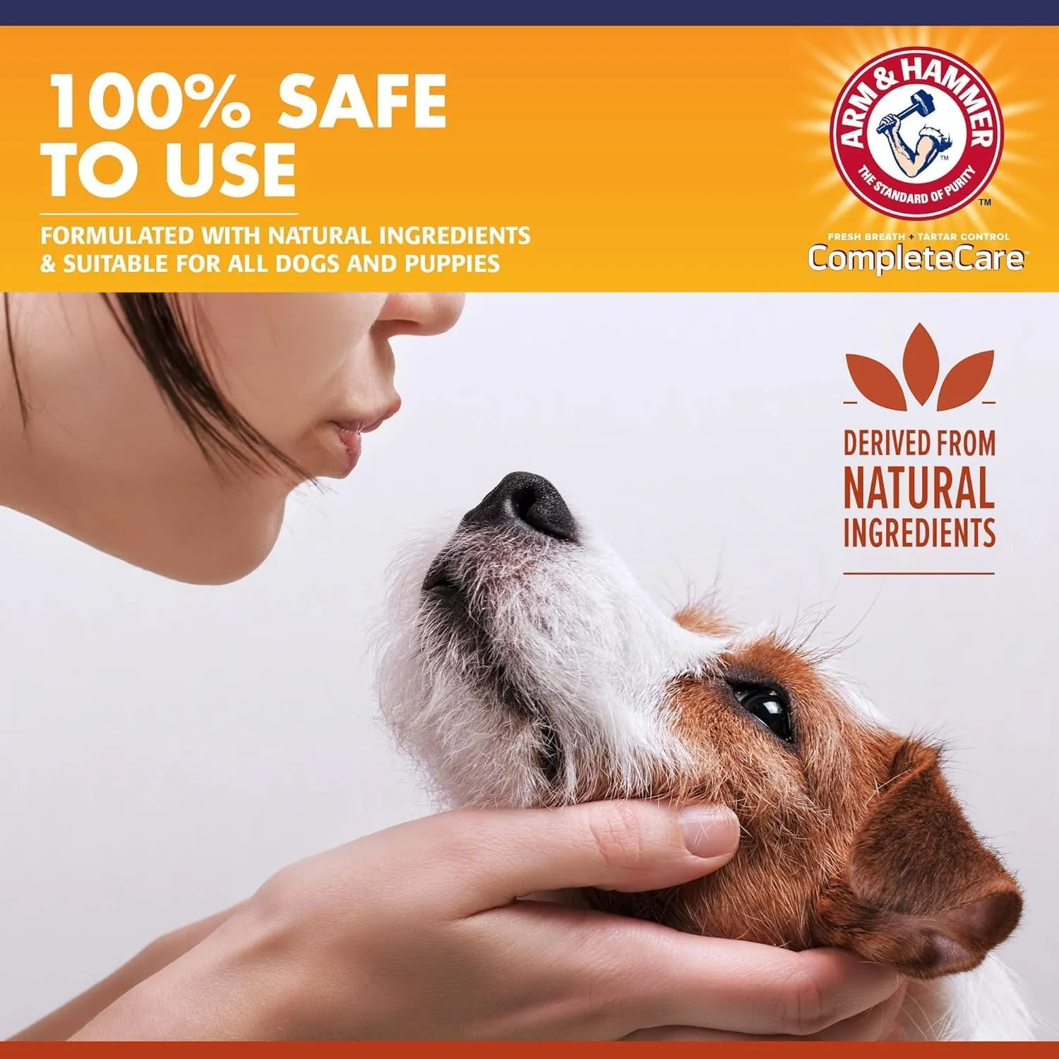 Arm & Hammer Complete Care Dog Dental Spray | Mint Flavor Dog Dental Spray for Easy Brushless Cleaning | Baking Soda Enhanced Formula for Fresh Breath and Tartar Control, 6 Fl Oz - 2 Pack
