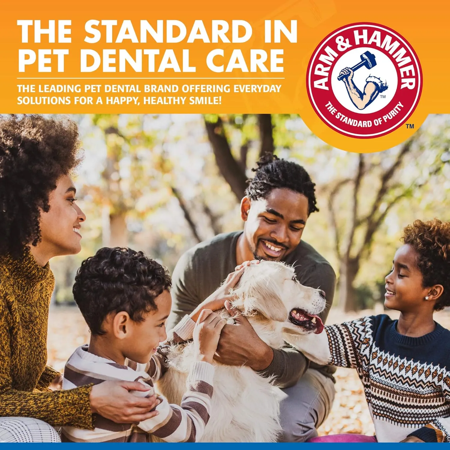 Arm & Hammer for Pets Tartar Control Dental Spray for Dogs | Dog Dental Spray Reduces Plaque & Tartar Buildup Without Brushing | Mint Flavor, 4 Ounces (Pack of 24)