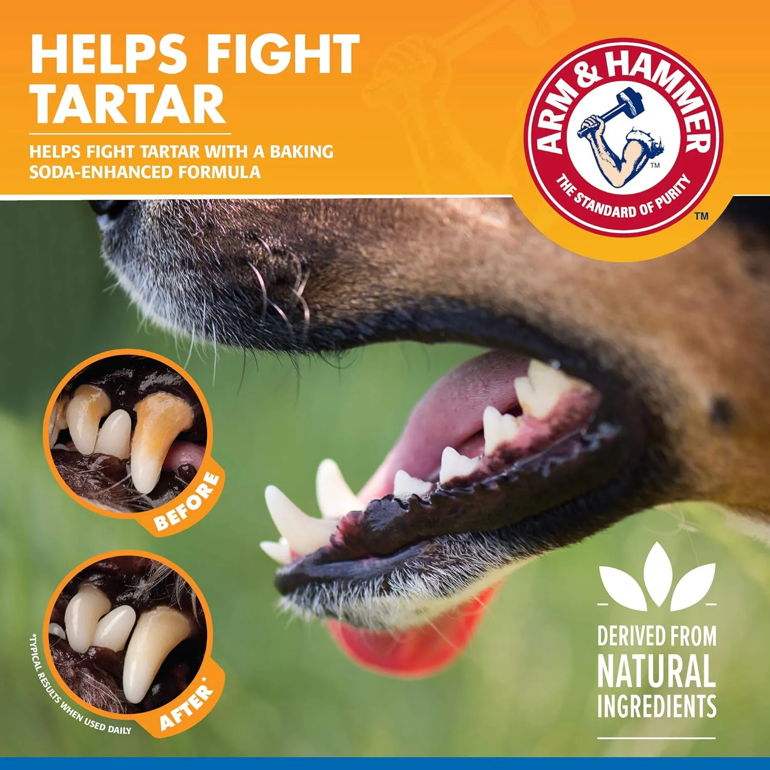 Arm & Hammer for Pets Tartar Control Dental Spray for Dogs | Dog Dental Spray Reduces Plaque & Tartar Buildup Without Brushing | Mint Flavor, 4 Ounces (Pack of 24)