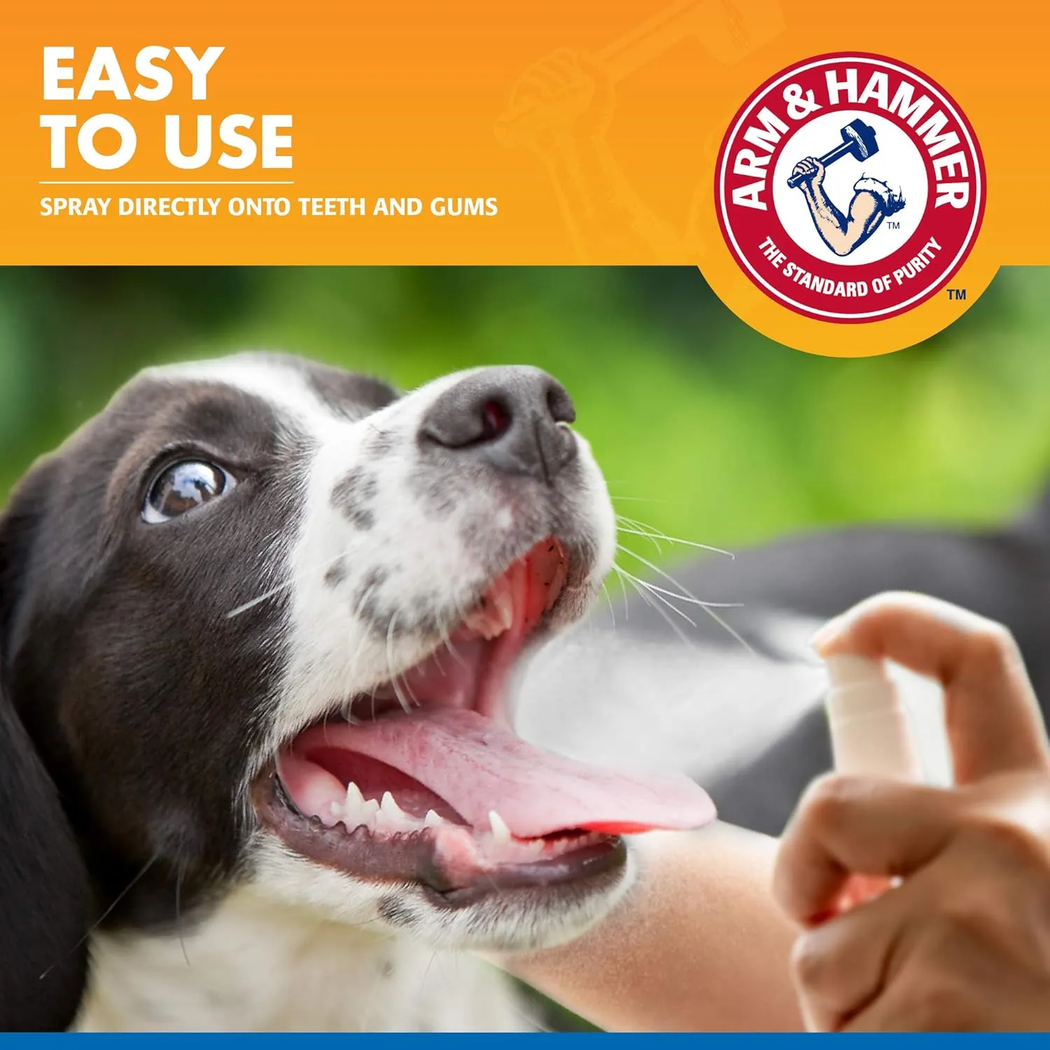 Arm & Hammer for Pets Tartar Control Dental Spray for Dogs | Dog Dental Spray Reduces Plaque & Tartar Buildup Without Brushing | Mint Flavor, 4 Ounces (Pack of 24)