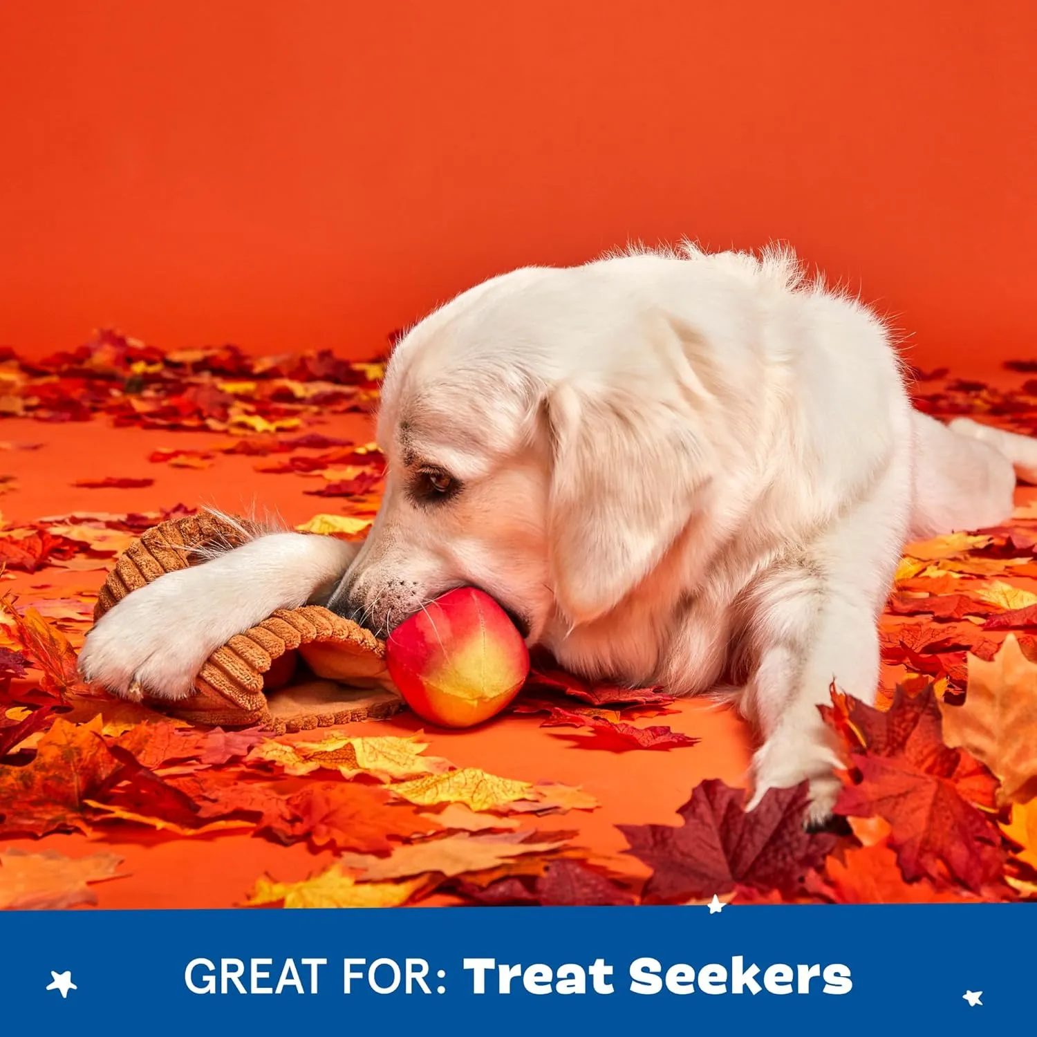 Barkbox Dog Toys  Them Apples 3 in 1 Multi Part Interactive Puzzle Dog Toy with Stimulating Crinkle and Squeakers  Small