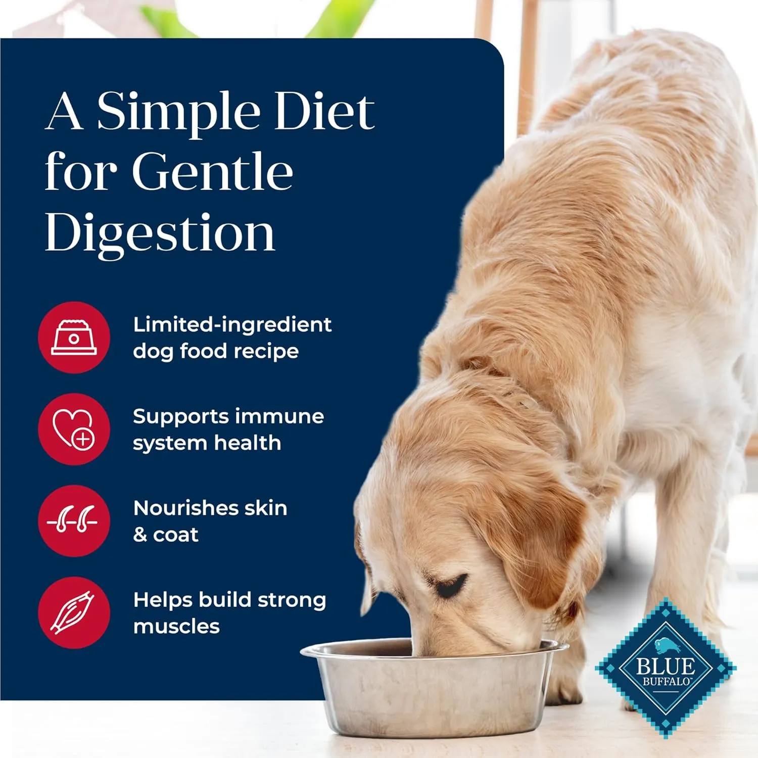 Blue Buffalo Basics Grain-Free Dry Dog Food for Adult Dogs, Limited Ingredient Diet, Salmon Recipe, 11-lb Bag