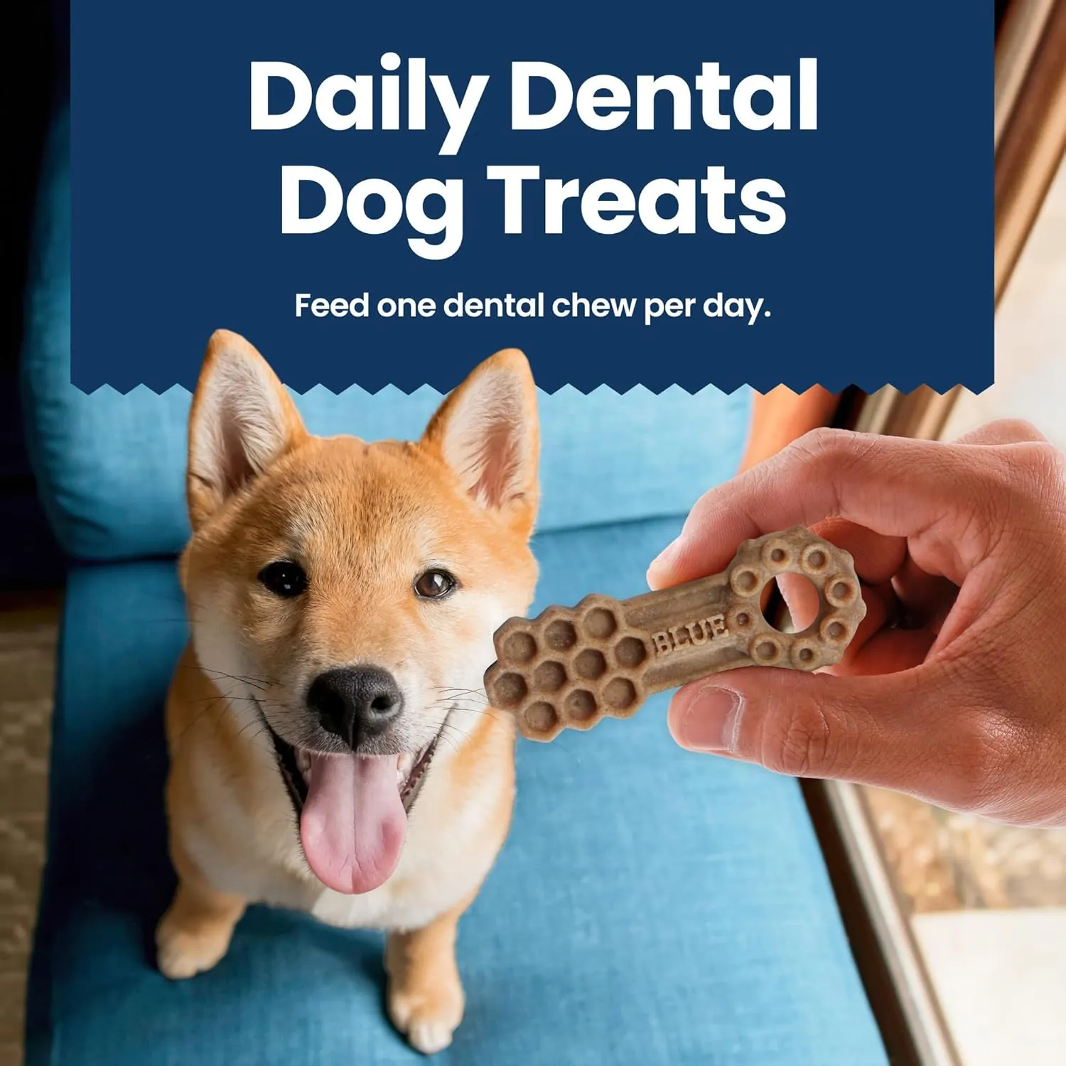 Blue Buffalo Medium Dental Chews for Dogs, Daily Dental Care Dog Treats Made in the USA with Natural Ingredients, Chicken & Spearmint (14 Count)