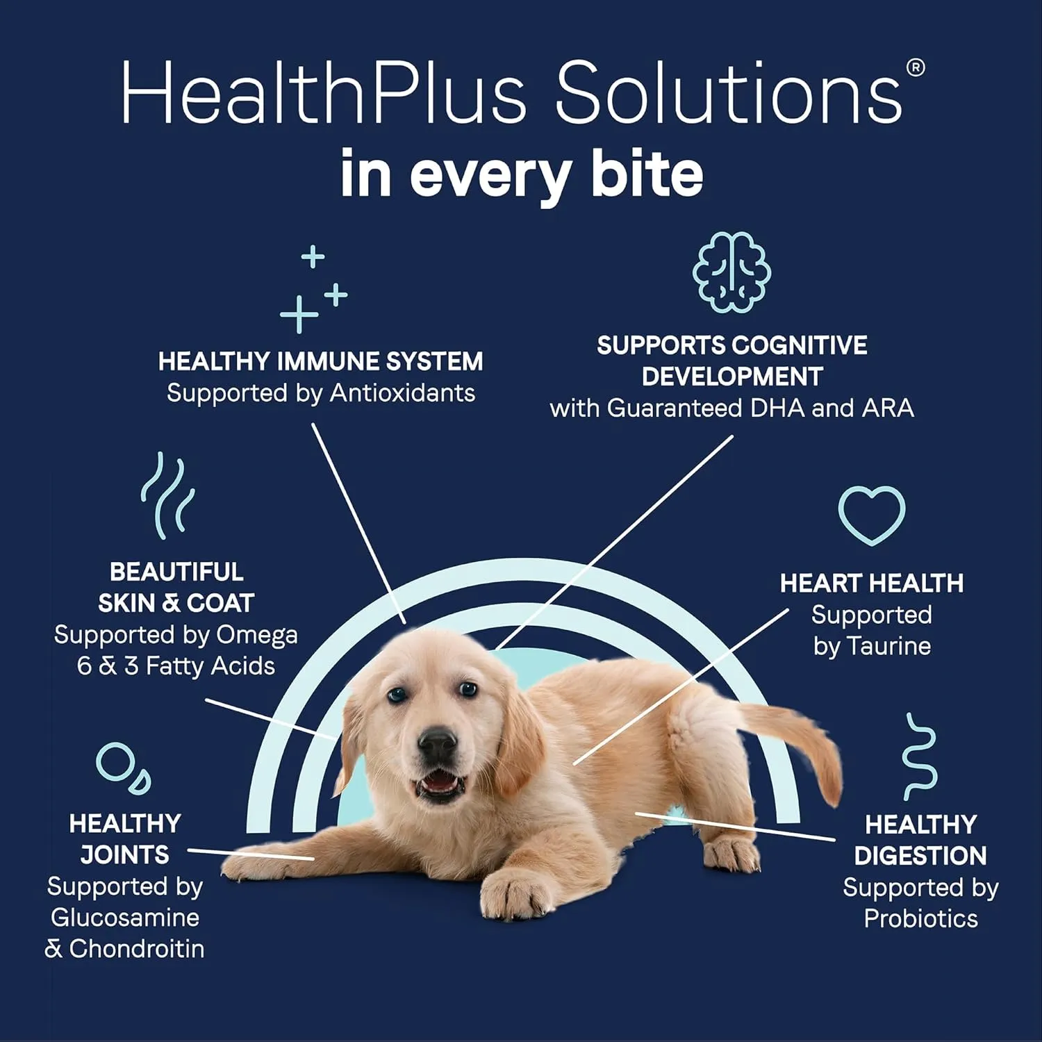 CANIDAE Pure Grain Free Dry Puppy Food, Real Chicken, Lentil & Whole Egg, 4 lbs. (Pack of 2)