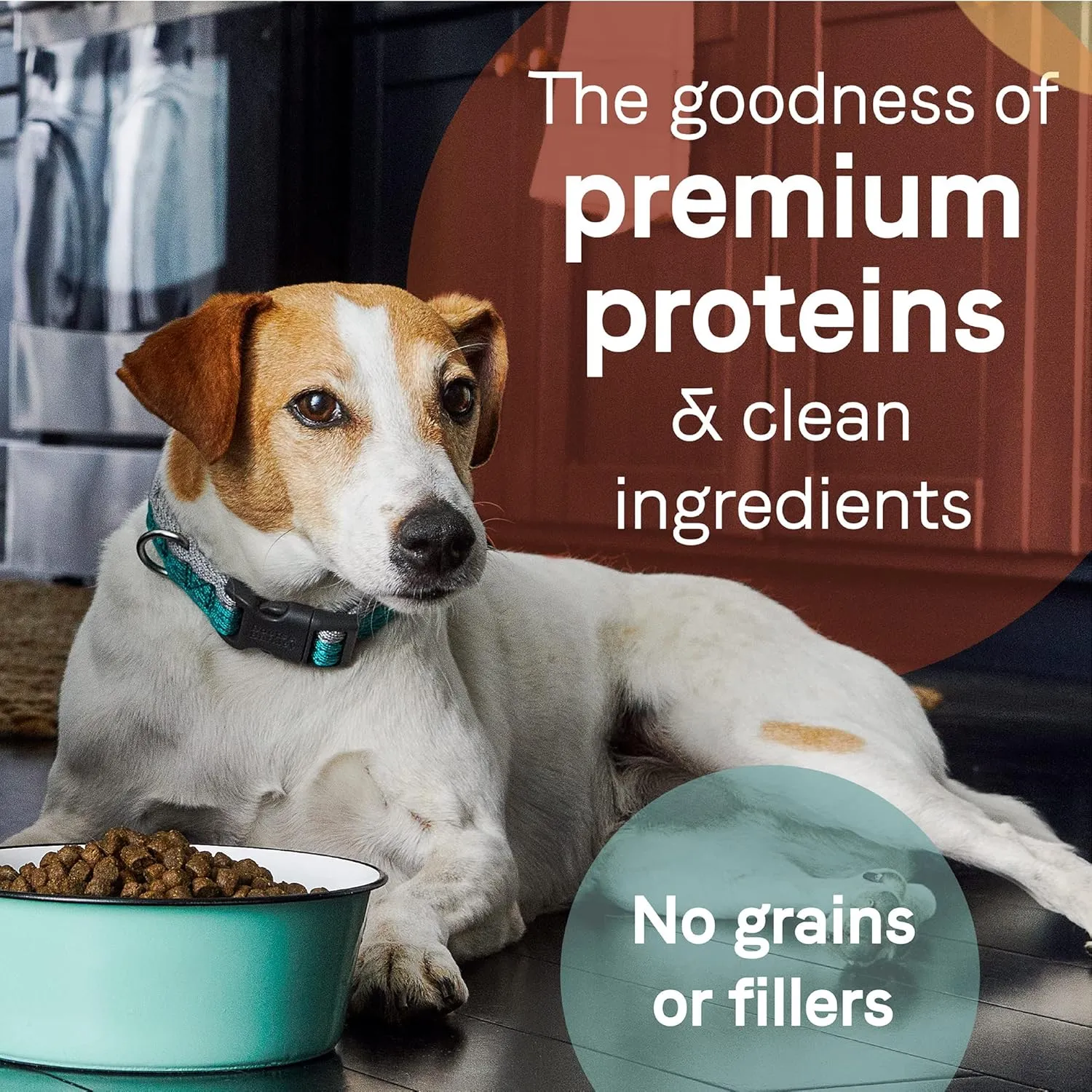 CANIDAE Pure Grain Free Dry Puppy Food, Real Chicken, Lentil & Whole Egg, 4 lbs. (Pack of 2)