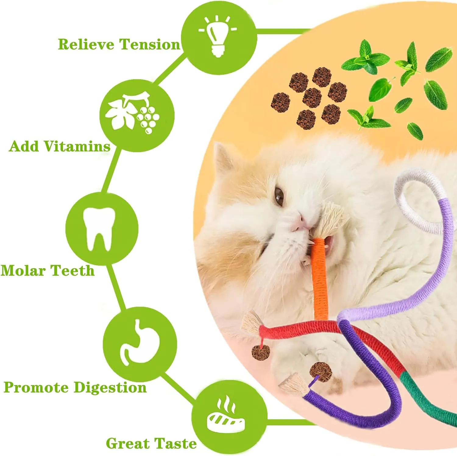 Cat Toys for Indoor Cats 12pcs Kitten Chew Self Play Kitty Dental Rope Interactive Catnip Toy Refillable Matatabi Treats for Cleaning Teeth Lickable Silvervine Feather Sticks