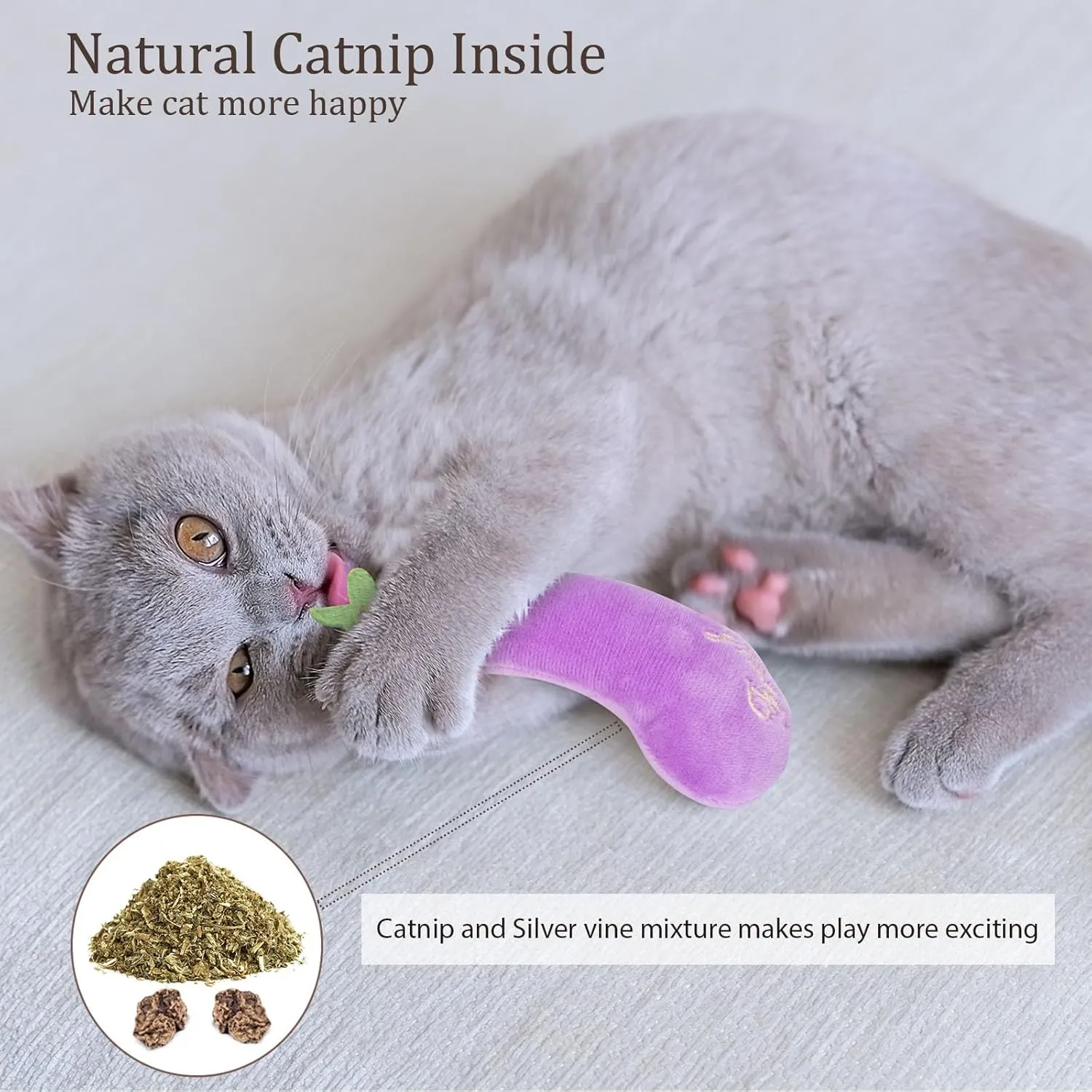Catnip Cat Toys, Value Pack Cat Nip Toys for Indoor Cats Kitten Chew and Exercise, Interactive Kitty Kicker Toy for All Breeds, Set of 5
