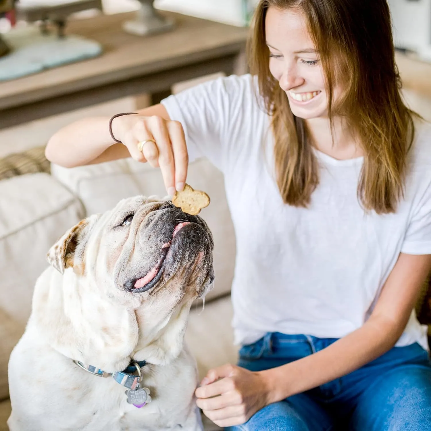 Cloud Star Wag More Bark Less Crunchy Grain Free Dog Treats, Pumpkin, 14 oz. Box
