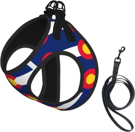 Colorado Flag No Pull Dog Harness and Leash Set, Reflective Vest for Small Dogs Adjustable, Cute Flag Puppy Harness Breathable Mesh for Walking Leash Training,Small