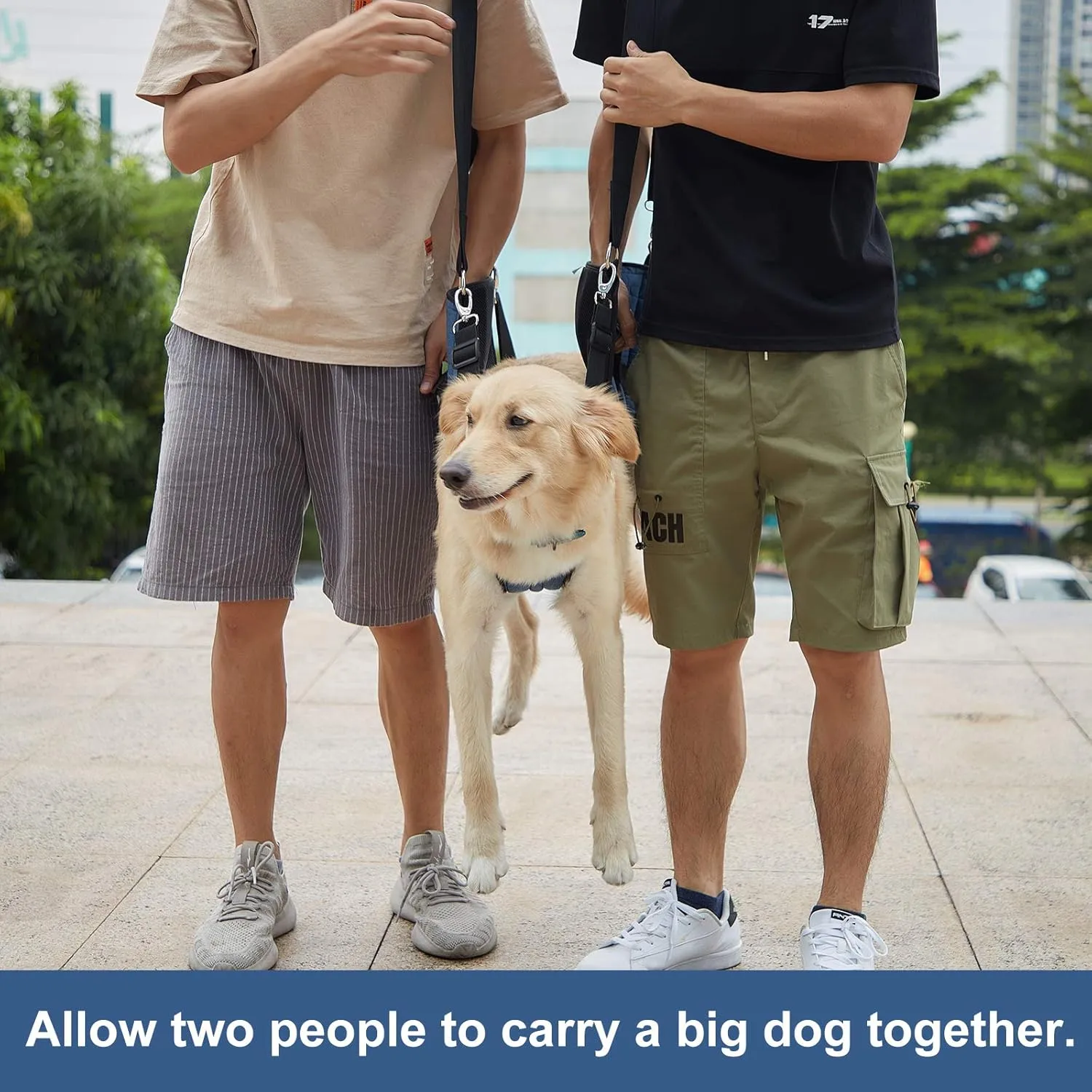 COODEO Dog Carry Sling, Emergency Backpack Pet Legs Support & Rehabilitation Dog Lift Harness for Nail Trimming, Dog Carrier for Senior Dogs Joint Injuries, Arthritis, Up and Down Stairs (L, Blue)