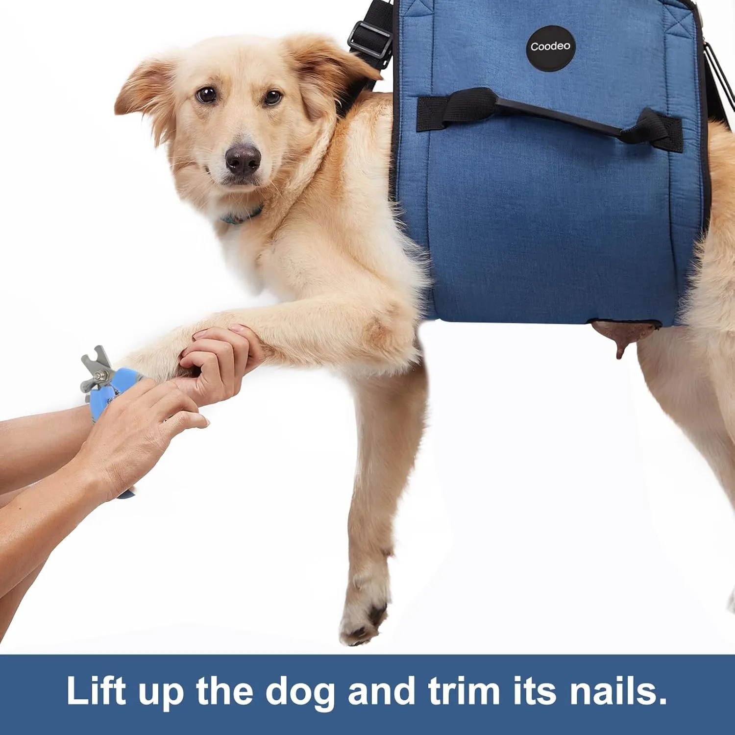 COODEO Dog Carry Sling, Emergency Backpack Pet Legs Support & Rehabilitation Dog Lift Harness for Nail Trimming, Dog Carrier for Senior Dogs Joint Injuries, Arthritis, Up and Down Stairs (L, Blue)