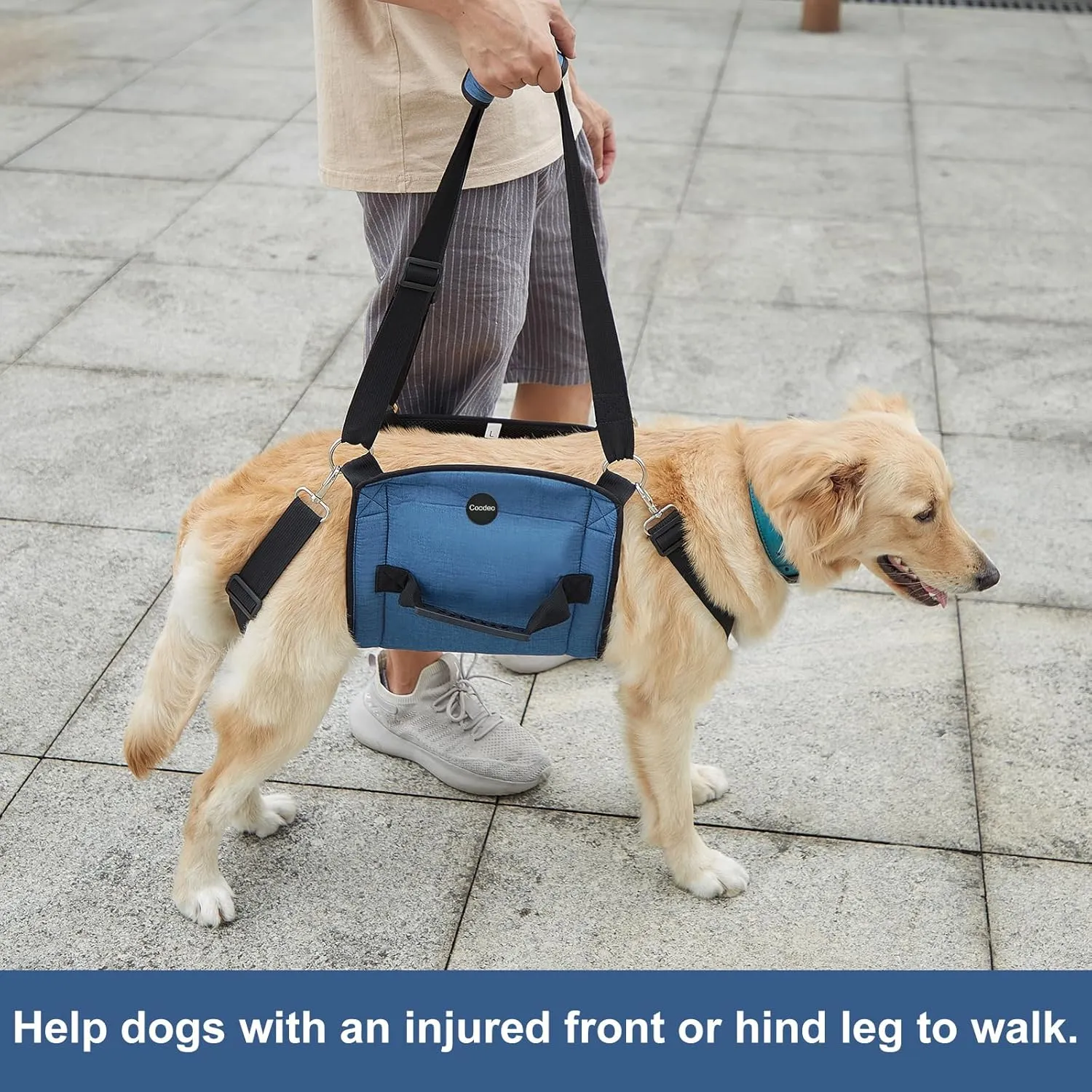COODEO Dog Carry Sling, Emergency Backpack Pet Legs Support & Rehabilitation Dog Lift Harness for Nail Trimming, Dog Carrier for Senior Dogs Joint Injuries, Arthritis, Up and Down Stairs (L, Blue)