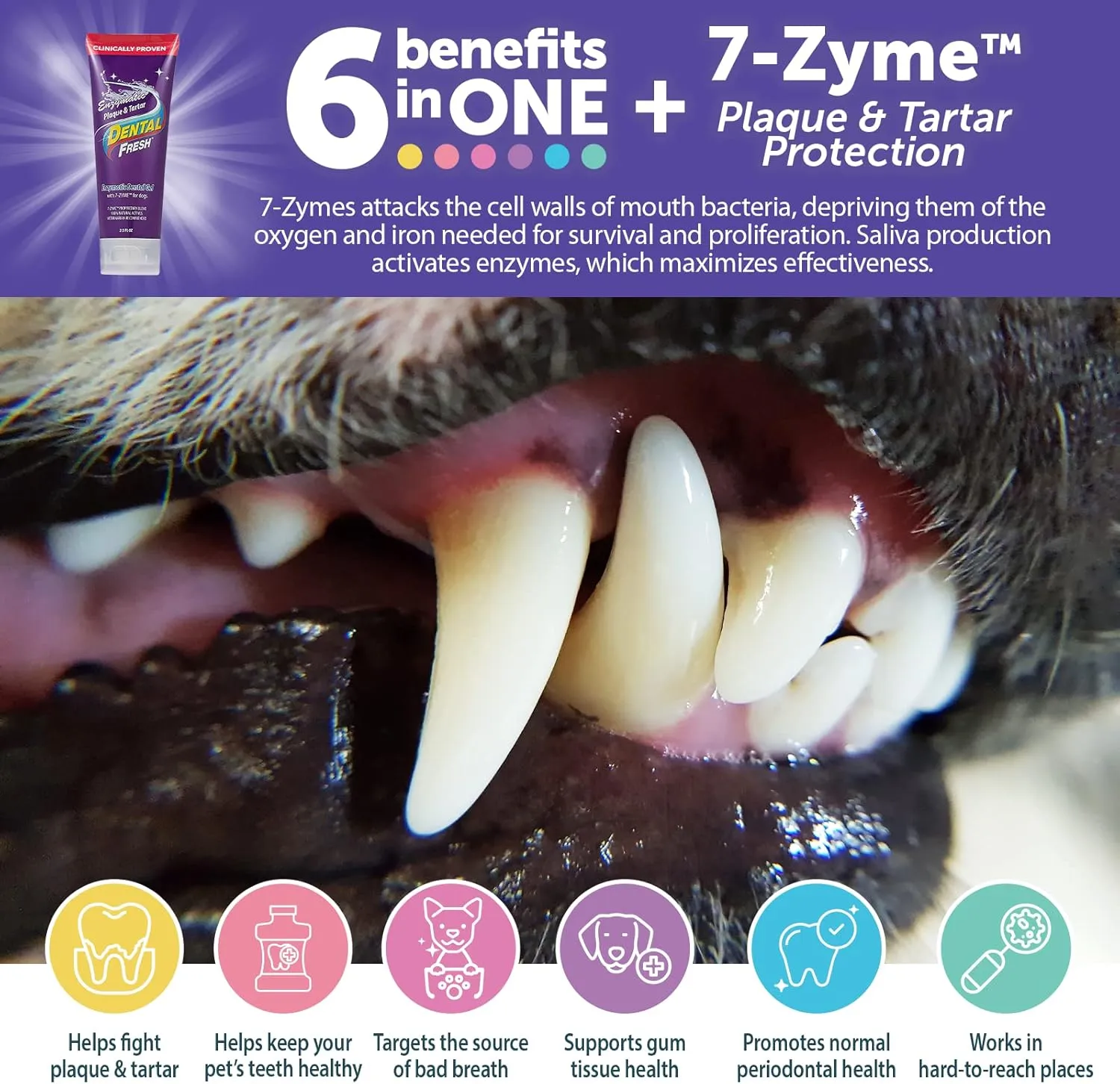 Dental Fresh Enzymatic Gel Finger Toothbrush Kit for Dogs, Includes Finger brush and Toothbrush  Teeth Cleaning