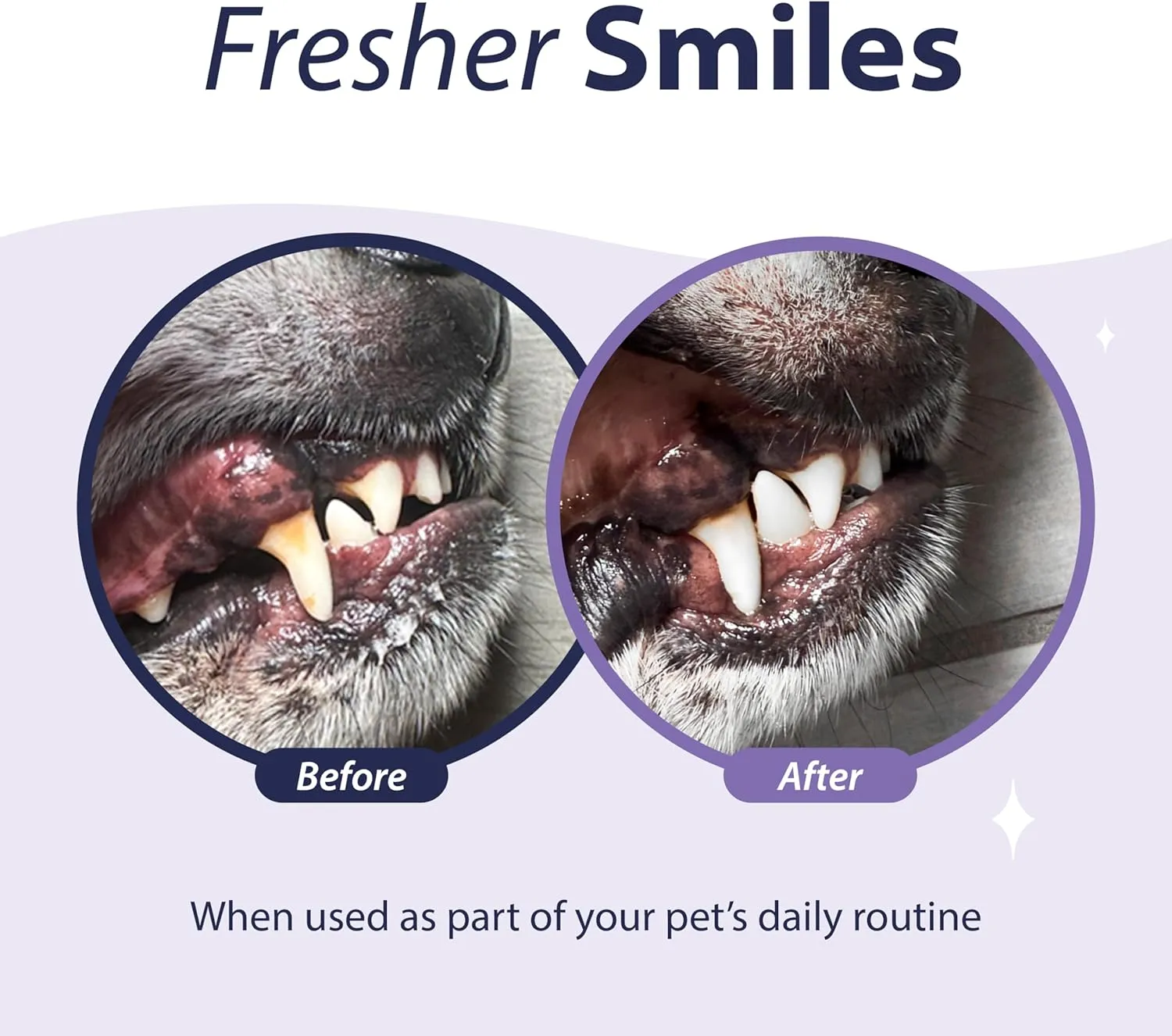 Dental Fresh Enzymatic Gel Finger Toothbrush Kit for Dogs, Includes Finger brush and Toothbrush  Teeth Cleaning