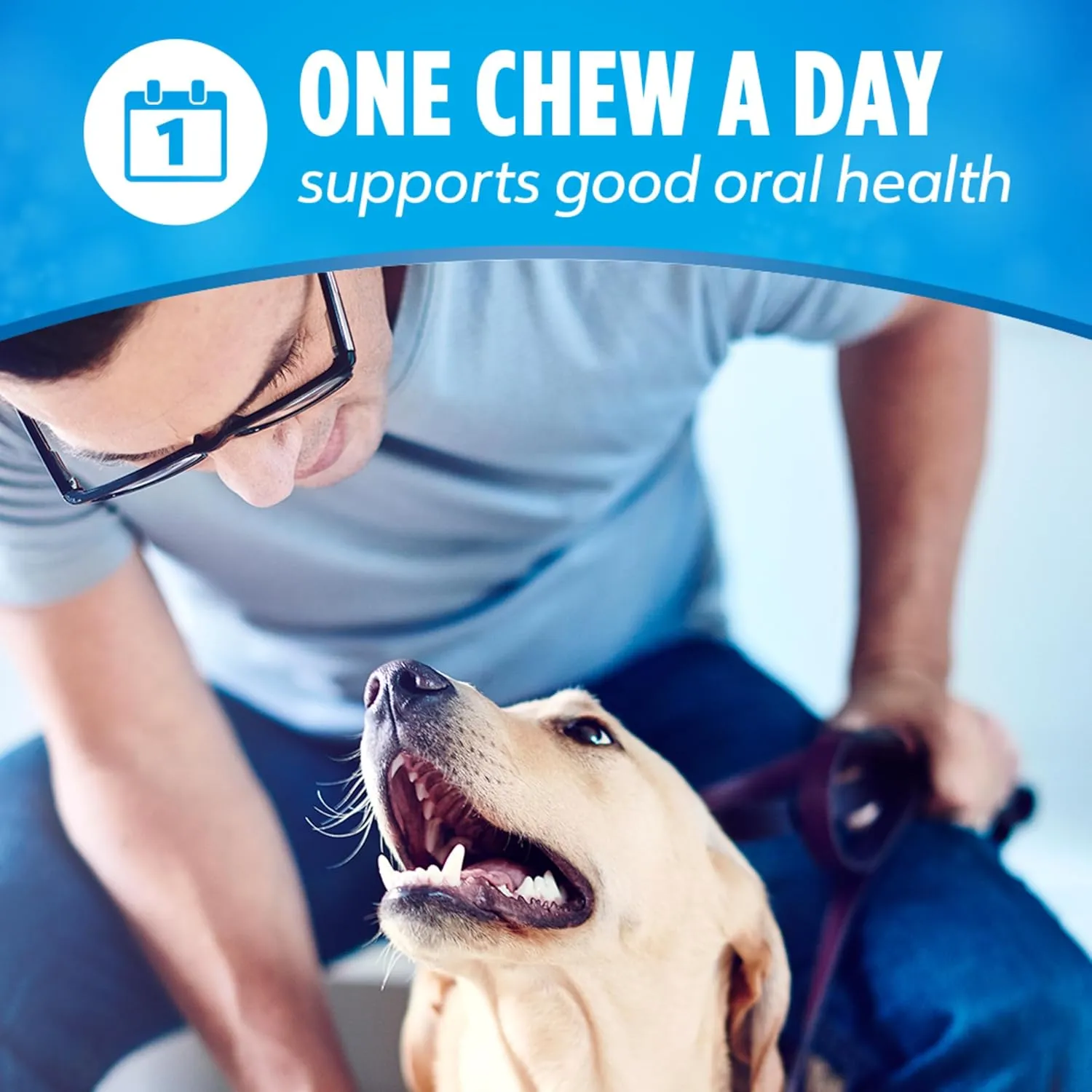 DentaLife Daily Oral Care Dog Treats for Small and Medium Dogs, Chewy Dental Treat to Freshen Breath and Fight Tartar, Chicken Flavor, 35.7 oz. each, 47 Chews each/94 Total Chews - 47 ct. Pouch