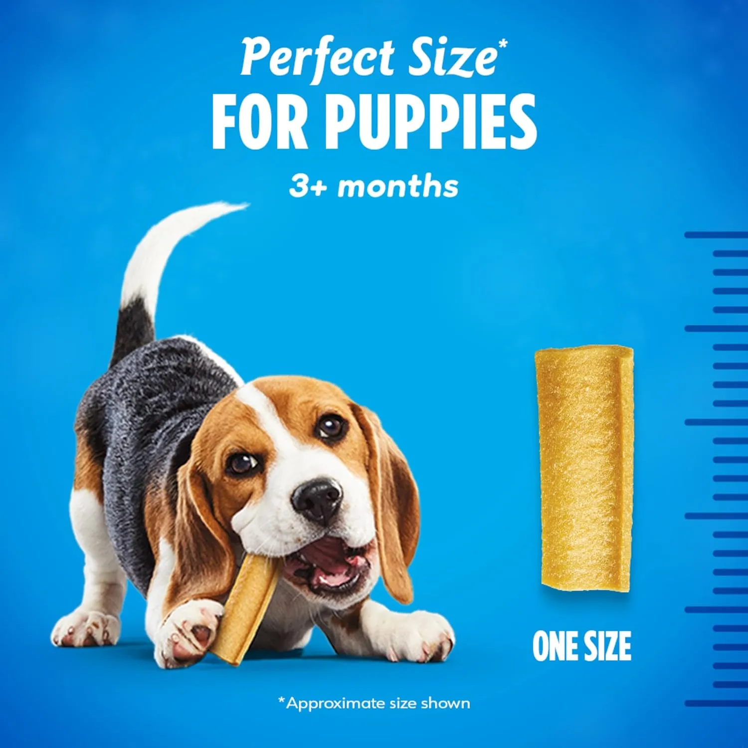 Dentalife Puppy Teething Dog Chews for Small Dogs 3 Months and Up, Chicken Flavor, 17.3 oz., 19 Chews - 19 ct. Pouch