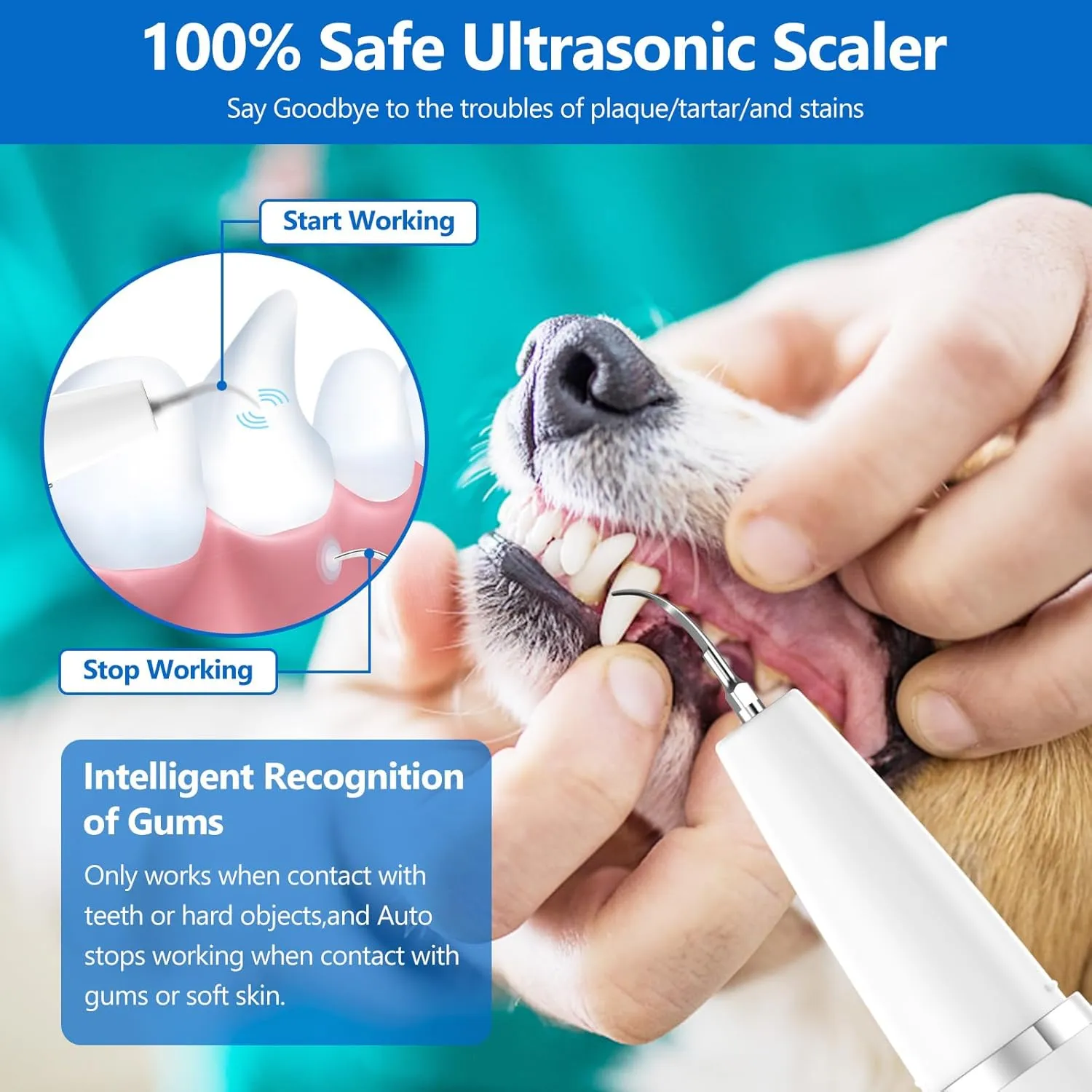 Dog Plaque Remover for Teeth,Pet Ultrasonic Tooth Cleaner,Teeth Cleaning Kit -Tartar Remover for Teeth Stains for Dogs and Cats(White)