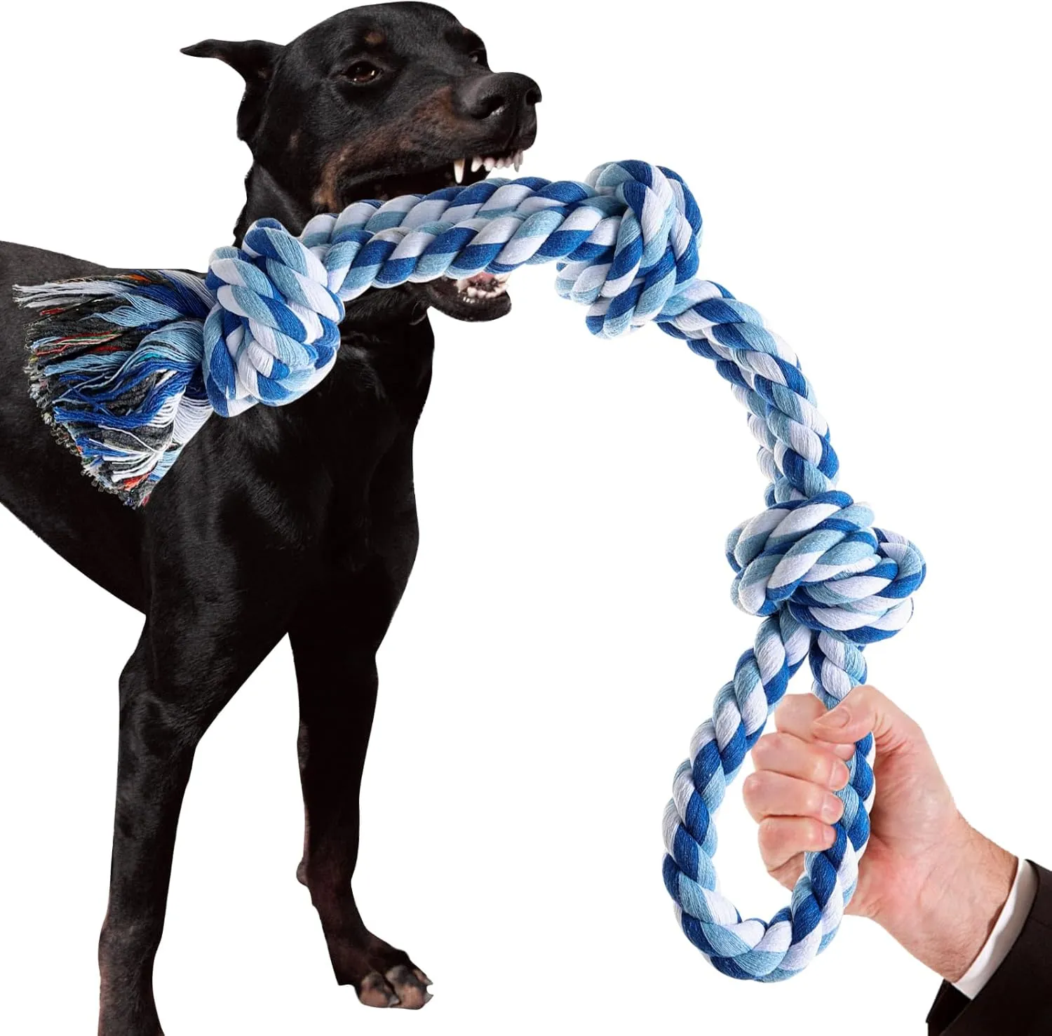 Dog Rope Toys Indestructible Dog Toys, Dog Chew Toys for Aggressive Chewers, Tough Puppy Teething Chew Toys for Boredom, Dental Cleaning Tug of War Dog Toy, Great for Small to Large Breed, Blue