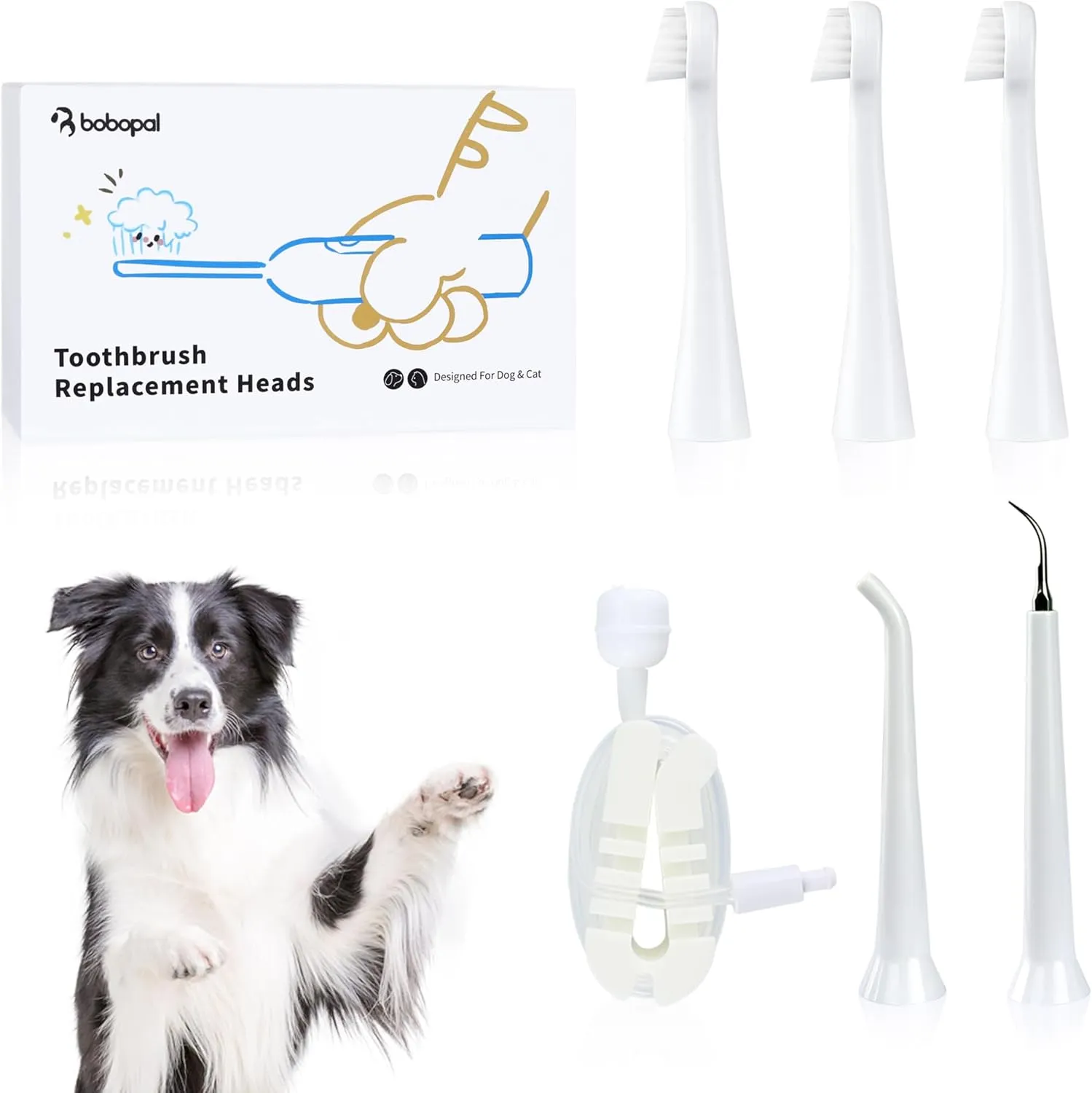 Dog Toothbrush Accessories Kit, Dog Plaque and Tartar Remover Set with Scraper,Toothbrush Head, Water Flosser Nozzles,Water Hose,Dog Plaque Removal Tools for Cleaner Teeth