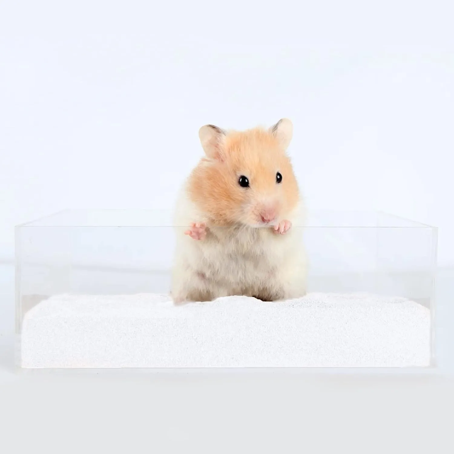 DR.DUDU Hamster Bath Sand, 6.6lb Dust Free Desert Sand or Potty Litter Sand for Hamster Chinchillas Gerbil Syrian Mice Small Animals (White)