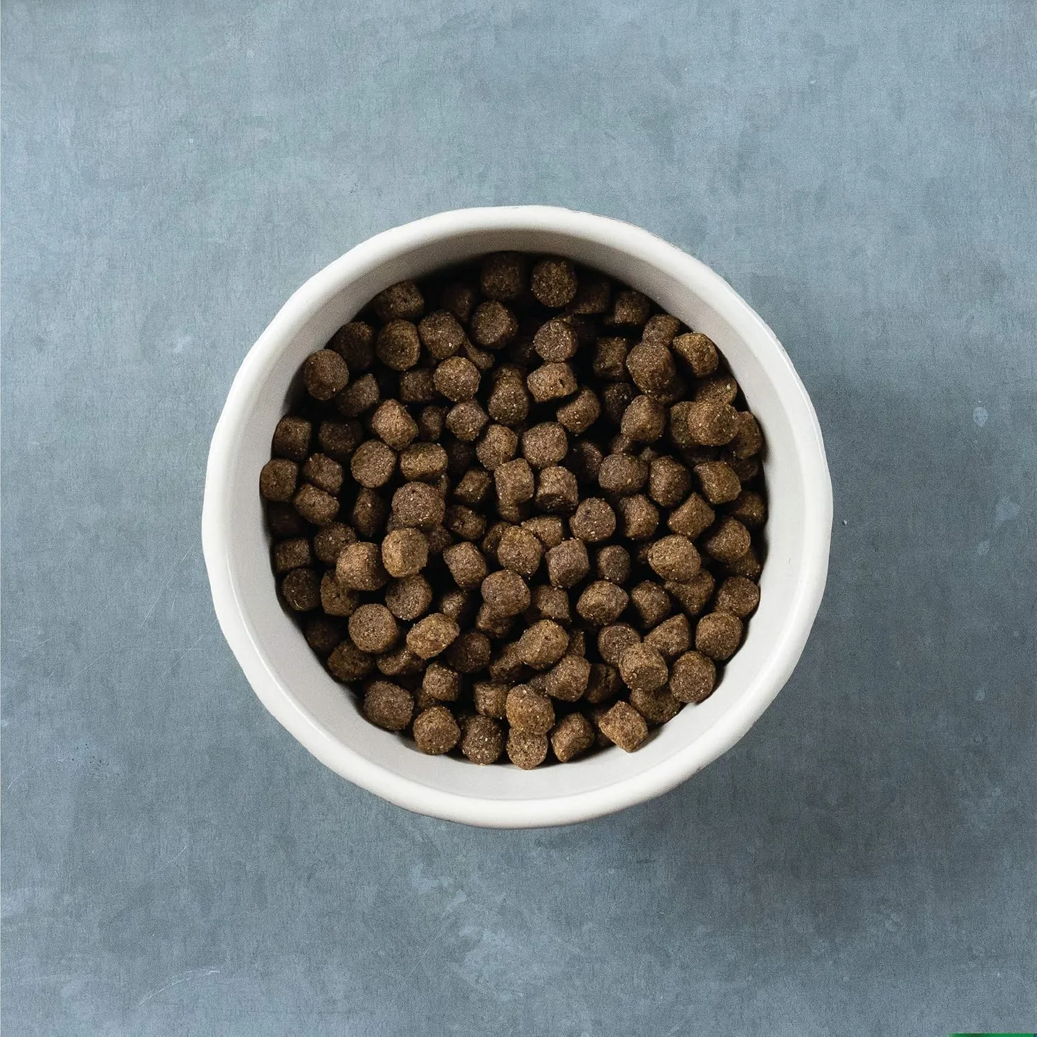 Evolve Grain Free Deboned Turkey & Sweet Potato Recipe Dog Food, 4 lb.