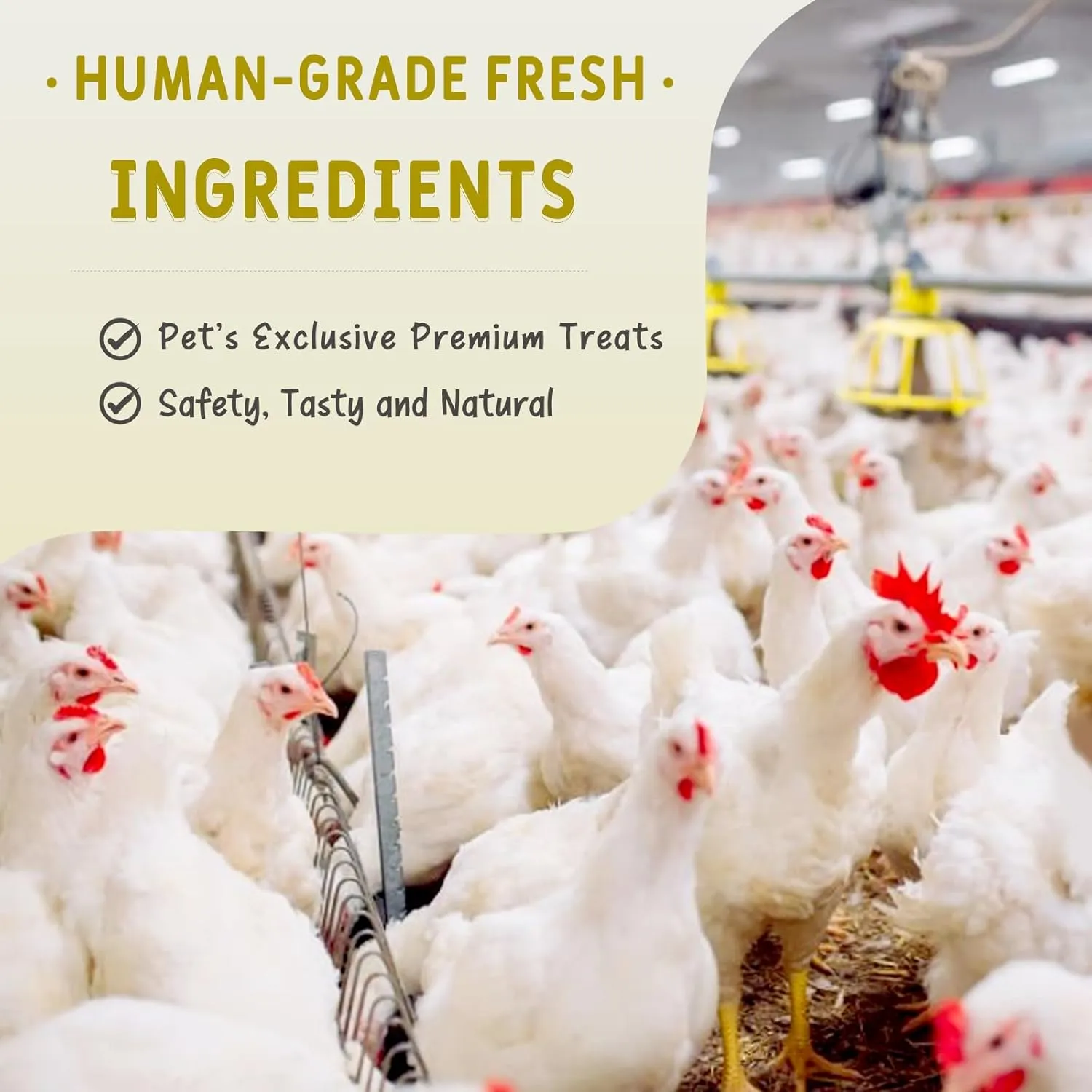 Freeze Dried Chicken Necks Treats for Dogs & Cats, Single Ingredient, 100% Human Grade, High in Calcium & Chondroitin for Strong Bones, Teeth & Joint Health, Grain Free Training Snacks