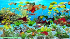 Guppies Aquarium Screen Saver [Download]