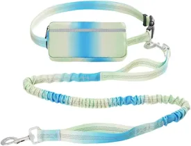 Hands Free Dog Leash with Zipper Pouch, Dual Handles and Durable Reflective Bungee for Walking, Jogging and Running Medium Large Dog (Green Blue)