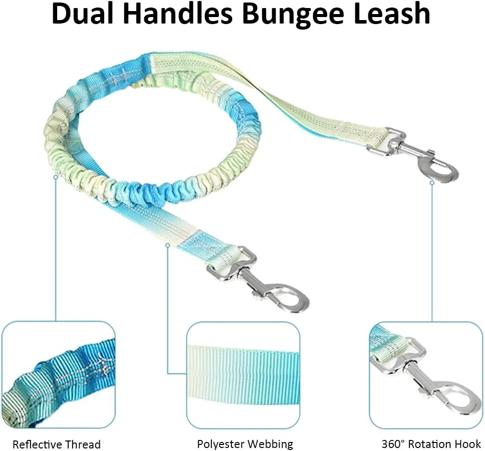 Hands Free Dog Leash with Zipper Pouch, Dual Handles and Durable Reflective Bungee for Walking, Jogging and Running Medium Large Dog (Green Blue)