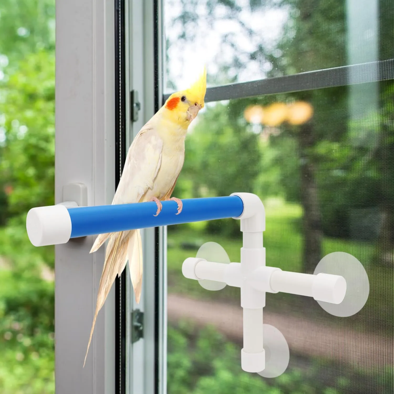Hypeety Bird Parrot Stand Perch Shower Perch Standing Toy Portable Suction Cup Parrot Bath Stands Suppllies Holder Platform Parakeet Window Wall Hanging Play (3 Suction Cups1)