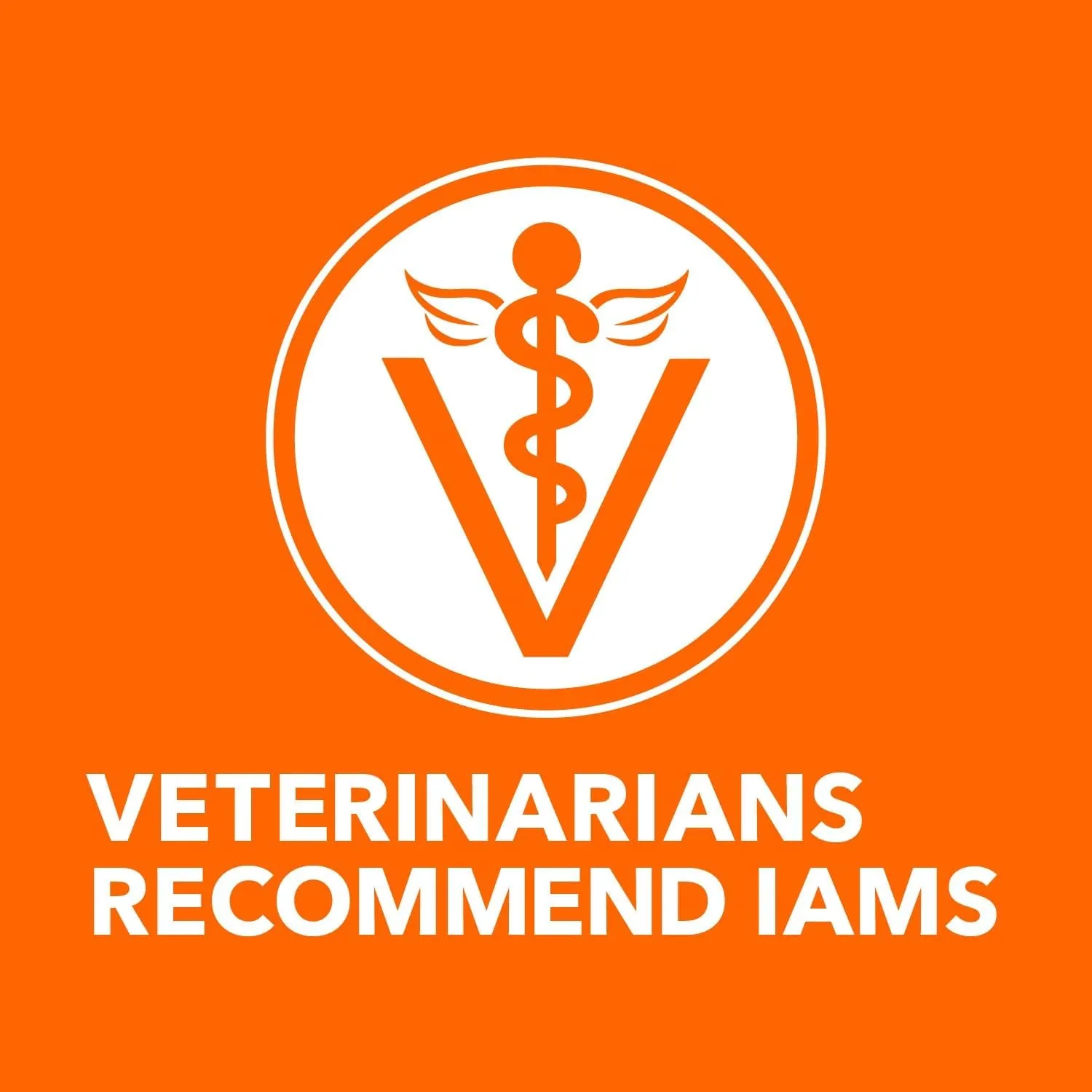 IAMS PROACTIVE HEALTH Healthy Senior Dry Cat Food with Chicken Cat Kibble, 7 lb. Bag