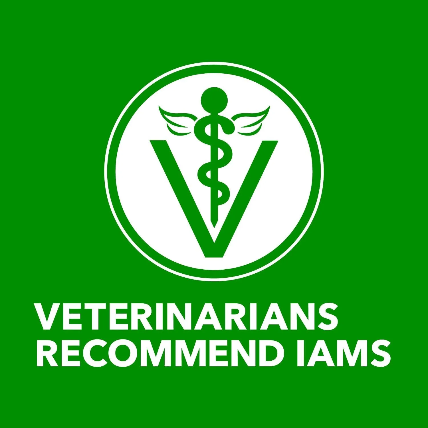 IAMS Proactive Health Minichunks Adult Dry Dog Food with Lamb & Rice, 30 lb. Bag