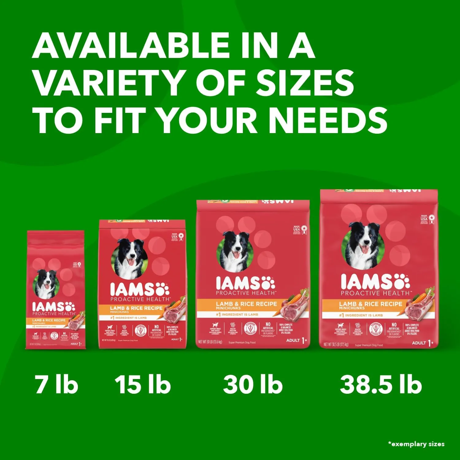 IAMS Proactive Health Minichunks Adult Dry Dog Food with Lamb & Rice, 30 lb. Bag