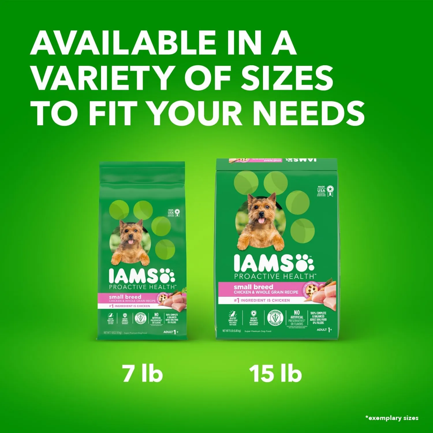 IAMS Proactive Health Small Breed Dog Food Dry with Real Chicken, 7 lb. Bag