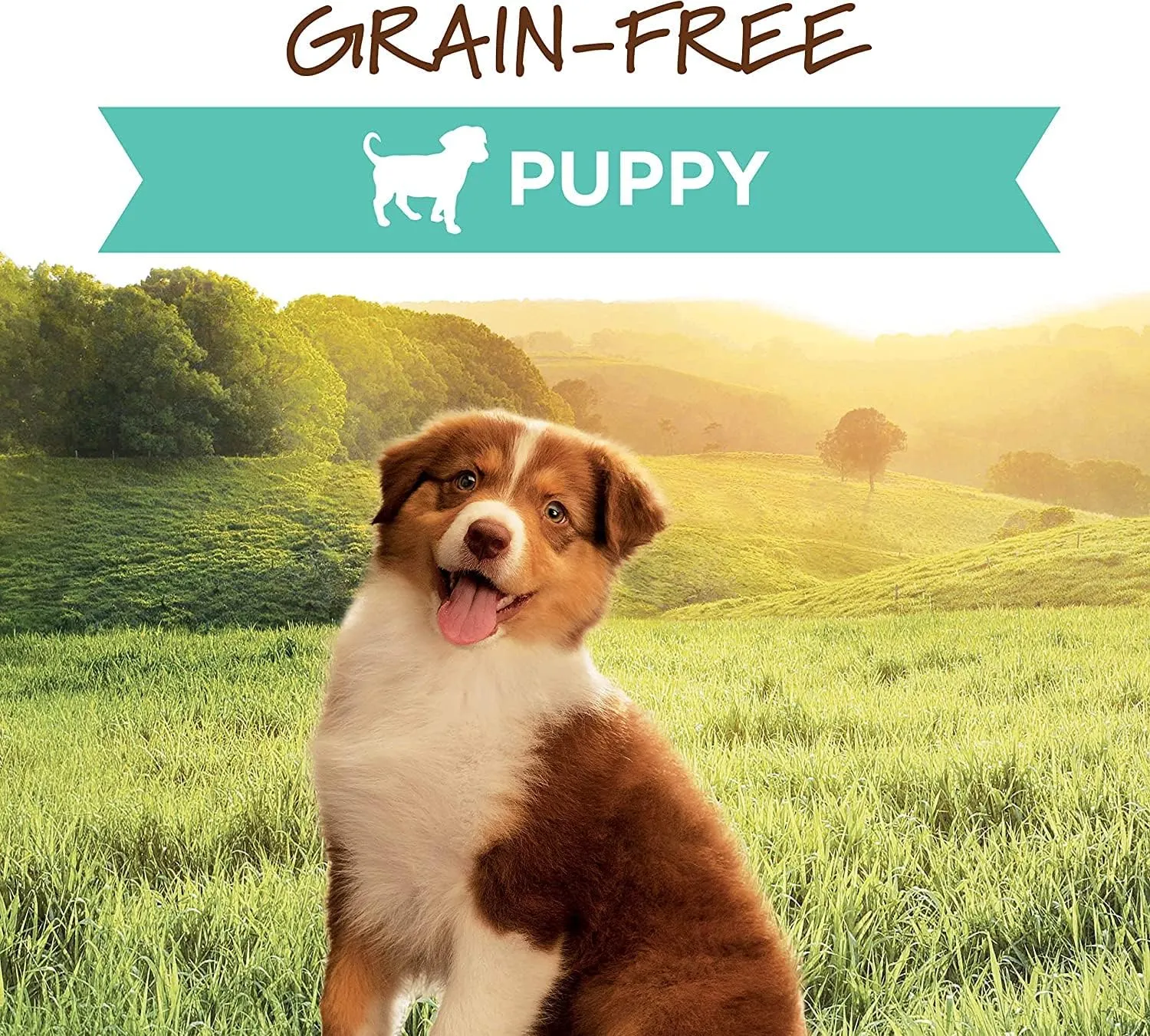 Instinct Original Puppy, Wet Dog Food, Grain Free Recipe - Real Chicken, 13.2 oz. Cans (Pack of 6)