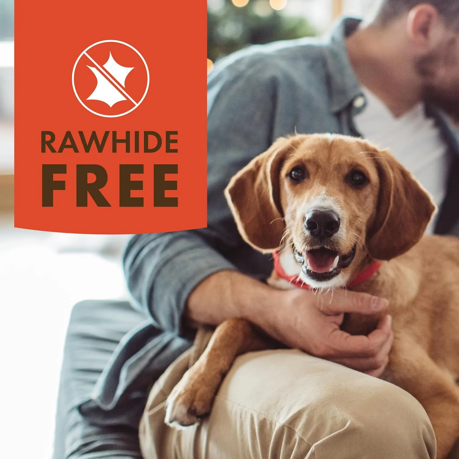 K9 Kraves Rawhide Free Bone Dog Treats, Chicken Flavor, Made with Real Chicken and Limited Ingredients, Healthy, Easily Digestible, Long Lasting, and High Protein Dog Treat, 20 Count