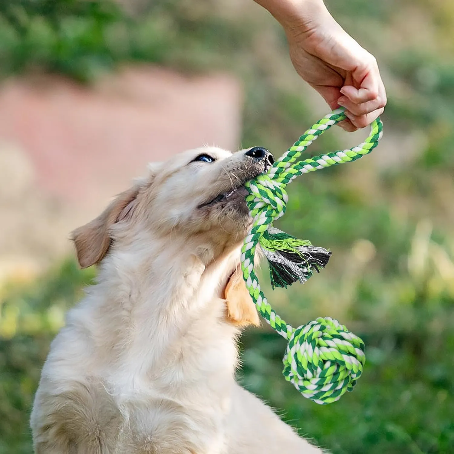 Large Dog Rope Toys for Aggressive Chewers, Dog Toys Set for Large and Medium Dogs, Tough Natural Cotton Puppy Chew Toy for Chewing, Tug Toy 9 Pack