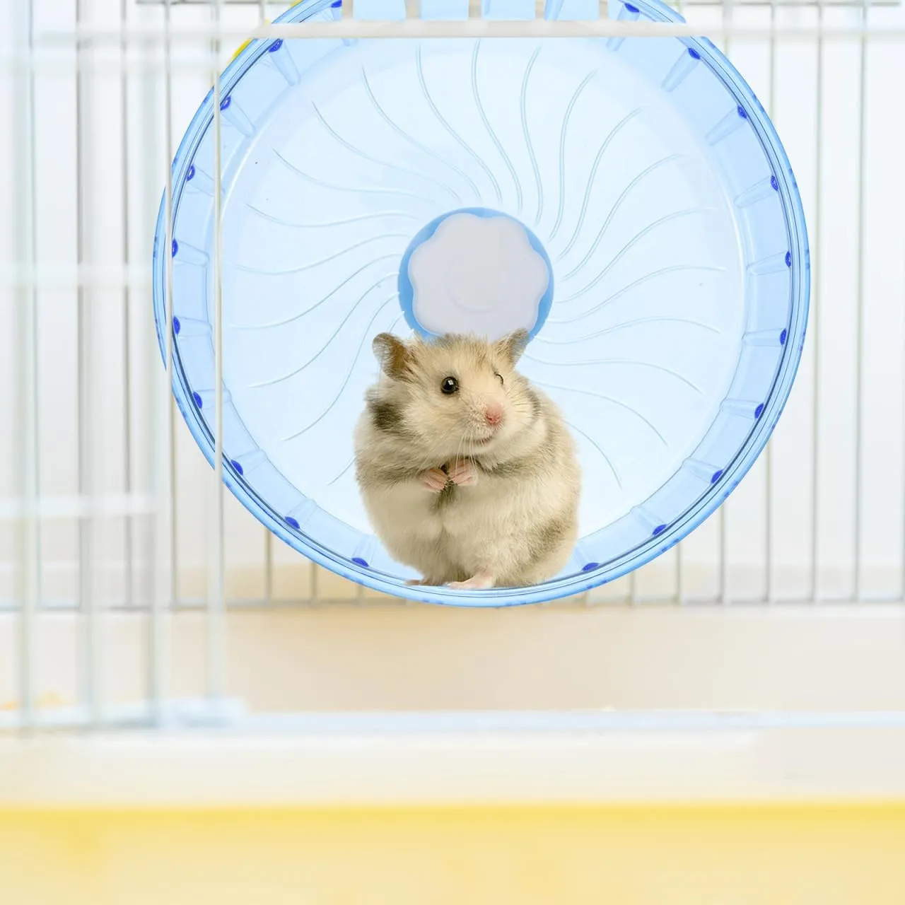 MERRYHAPY Hamster Wheel for Guinea Pig Chinchilla Gerbils Quiet Running Wheel Toy for Pets Hamster Toys for Cage Exercise and Activity