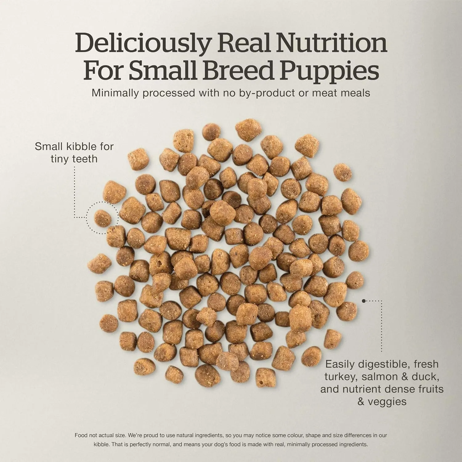 Now Fresh Grain-Free, Dry Dog Food, Small Breed Kibble, Real Meat and Fish, Turkey, Salmon and Duck Puppy Recipe, 3.5 lb Bag