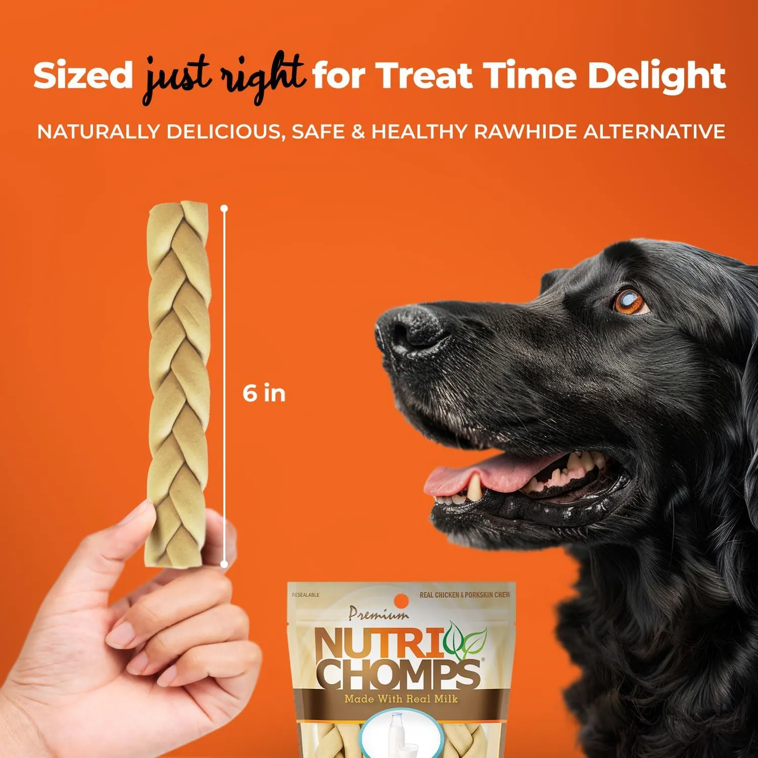 NutriChomps Dog Chews, 6-inch Braids, Easy to Digest, Rawhide-Free Dog Treats, Healthy, Real Chicken, Peanut Butter and Milk flavors, Pack of 4