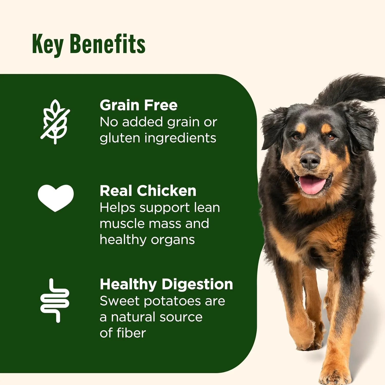 Nutrish Grain Free Chicken & Sweet Potato Recipe Dry Dog Food, 26 lb. Bag, Packaging May Vary (Rachael Ray)