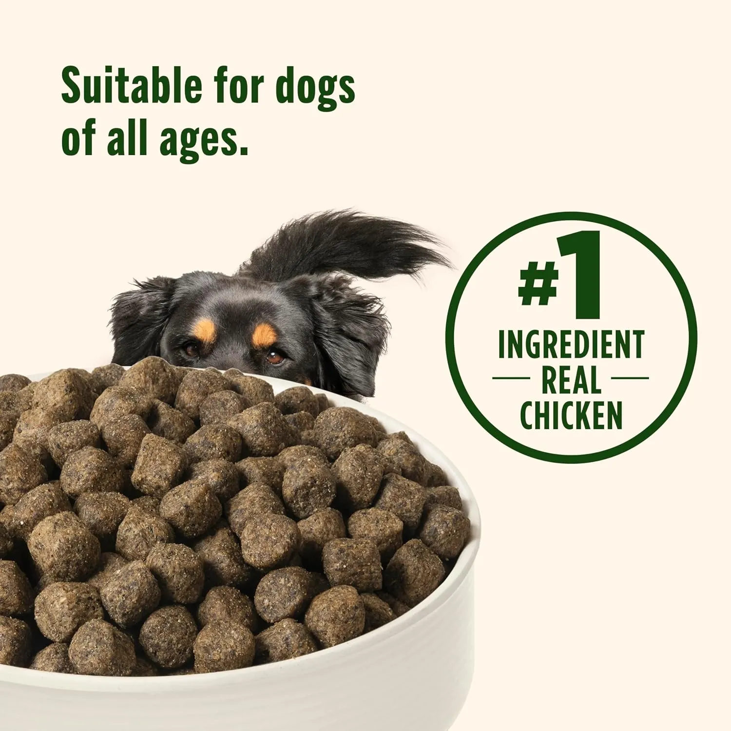 Nutrish Grain Free Chicken & Sweet Potato Recipe Dry Dog Food, 26 lb. Bag, Packaging May Vary (Rachael Ray)
