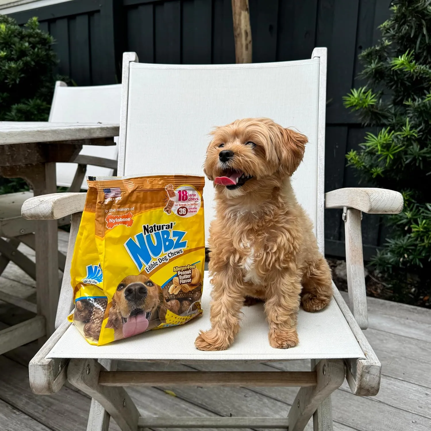 Nylabone Nubz Natural Edible Dog Chew Treats for Dogs, Long Lasting Dog Bones Made in USA, Peanut Butter Flavor Dental Chews, for Dogs Up to 50 lbs. (18 Count)