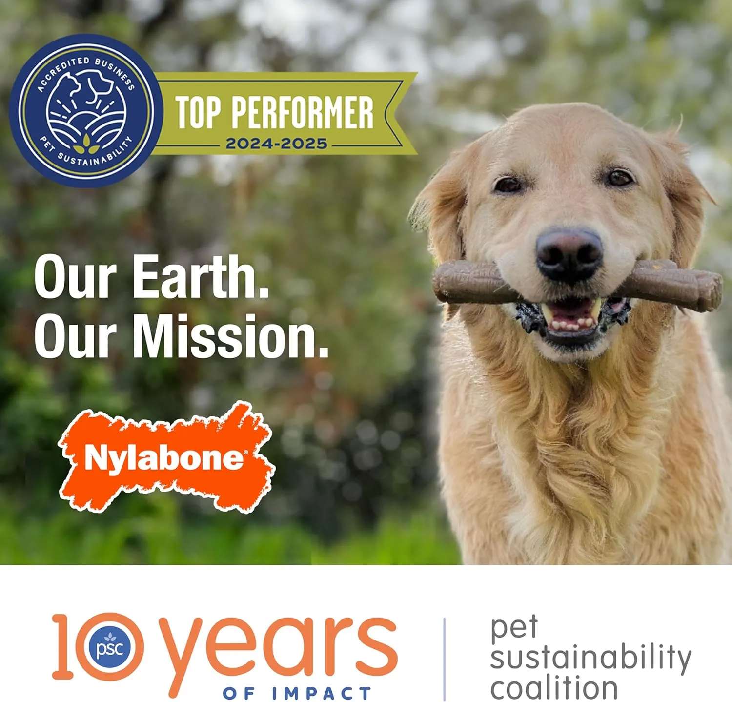 Nylabone Nubz Natural Edible Dog Chew Treats for Dogs, Long Lasting Dog Bones Made in USA, Peanut Butter Flavor Dental Chews, for Dogs Up to 50 lbs. (18 Count)