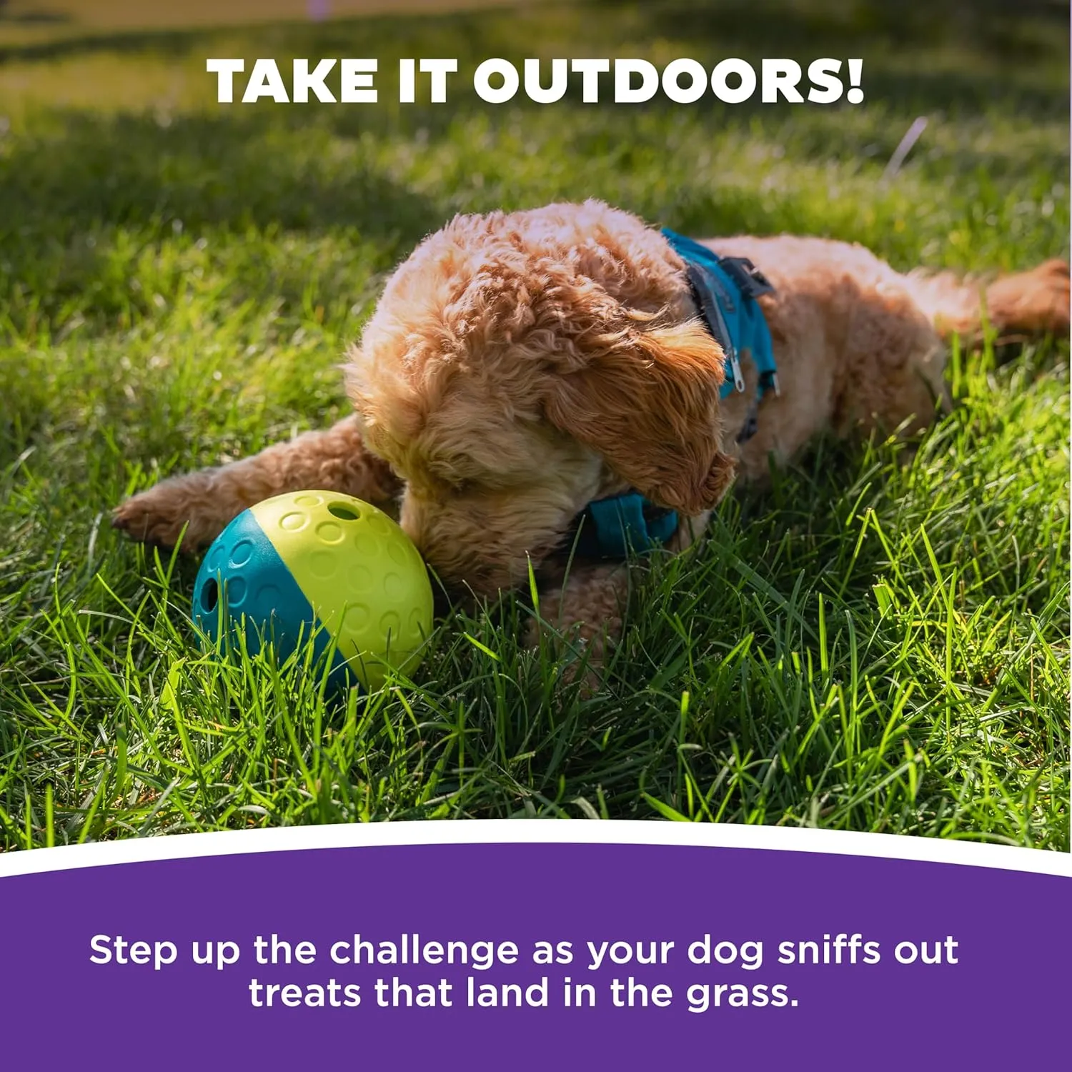 Outward Hound by Nina Ottosson Treat Tumble Interactive Puzzle Ball Dog Toy, Level 1 Beginner, Blue, Small