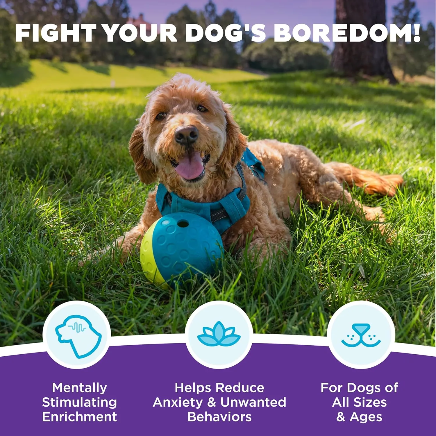 Outward Hound by Nina Ottosson Treat Tumble Interactive Puzzle Ball Dog Toy, Level 1 Beginner, Blue, Small
